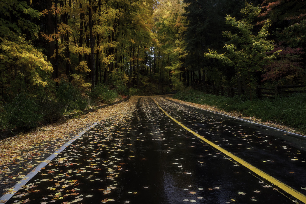 Nikon D4S + Sigma 35mm F1.4 DG HSM Art sample photo. Pathway to heaven photography