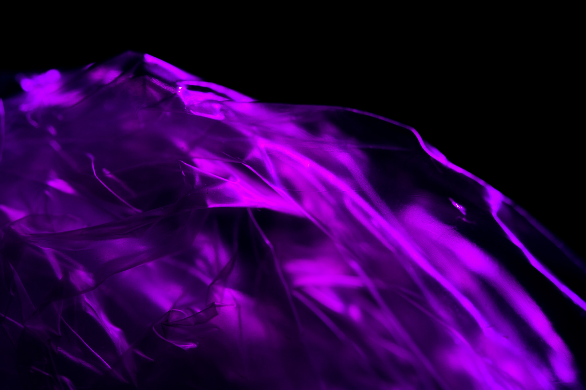 Sigma 150mm F2.8 EX DG Macro HSM sample photo. Purple haze photography