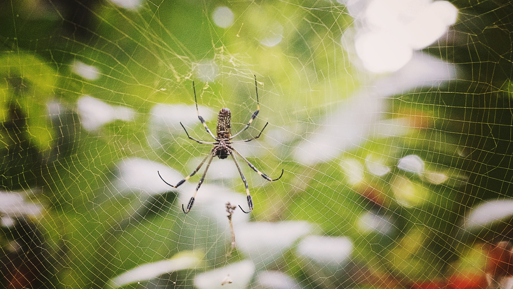 Sony a7S sample photo. Connected photography