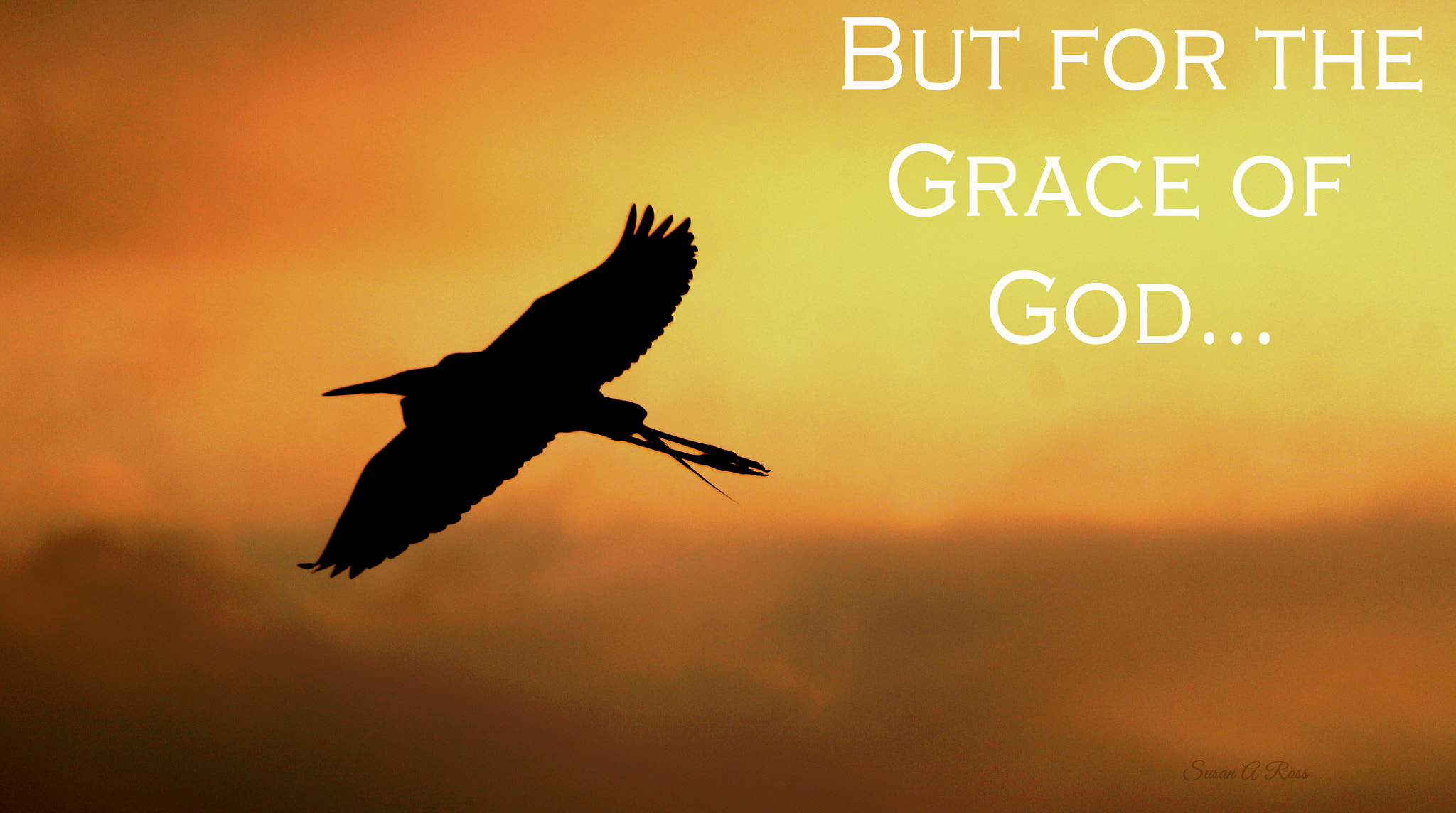 Canon EOS 100D (EOS Rebel SL1 / EOS Kiss X7) sample photo. But for the grace of god photography