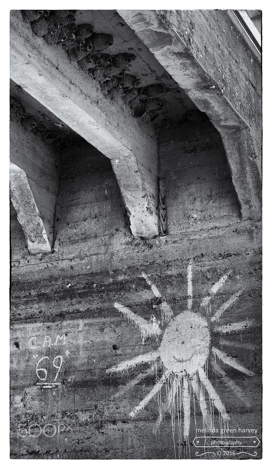Leica Summarit-M 50mm F2.4 sample photo. Swallows' nests, and the sun photography