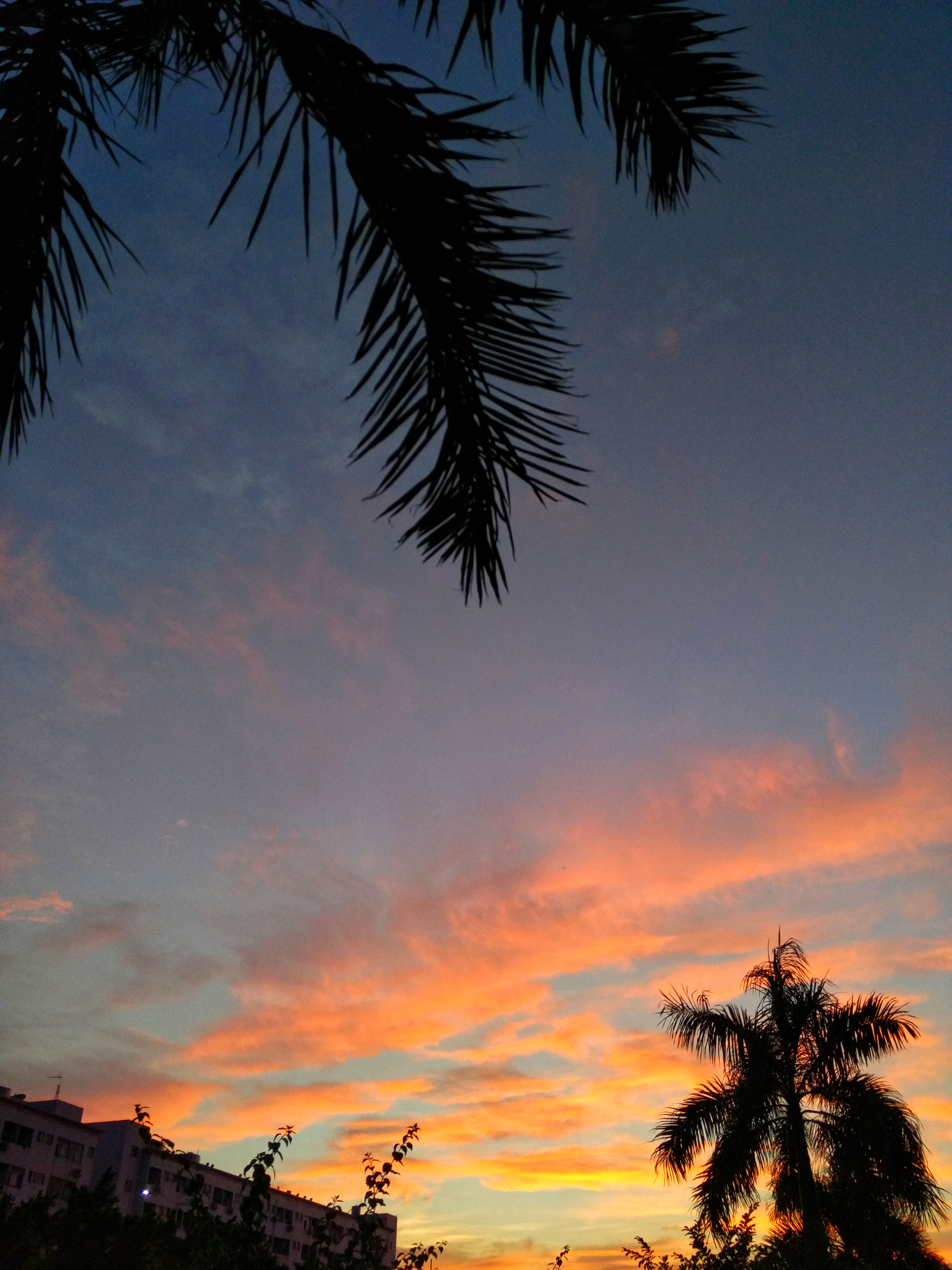 Xiaomi MI NOTE Pro sample photo. Sunset before seahorse photography