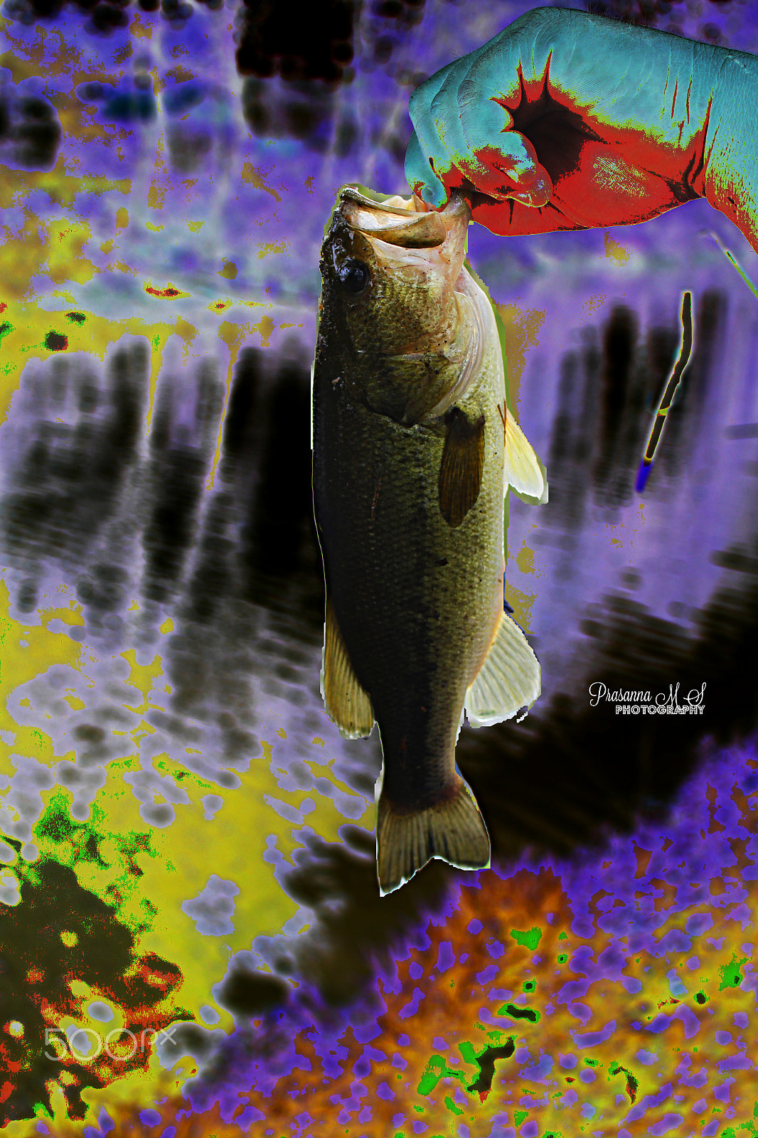 18.0 - 55.0 mm sample photo. The catch photography