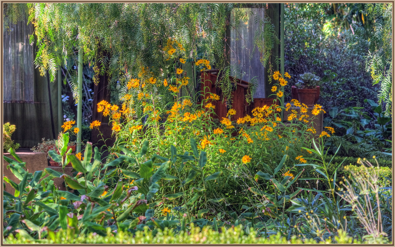 Sigma 120-400mm F4.5-5.6 DG OS HSM sample photo. Autumn flowers photography