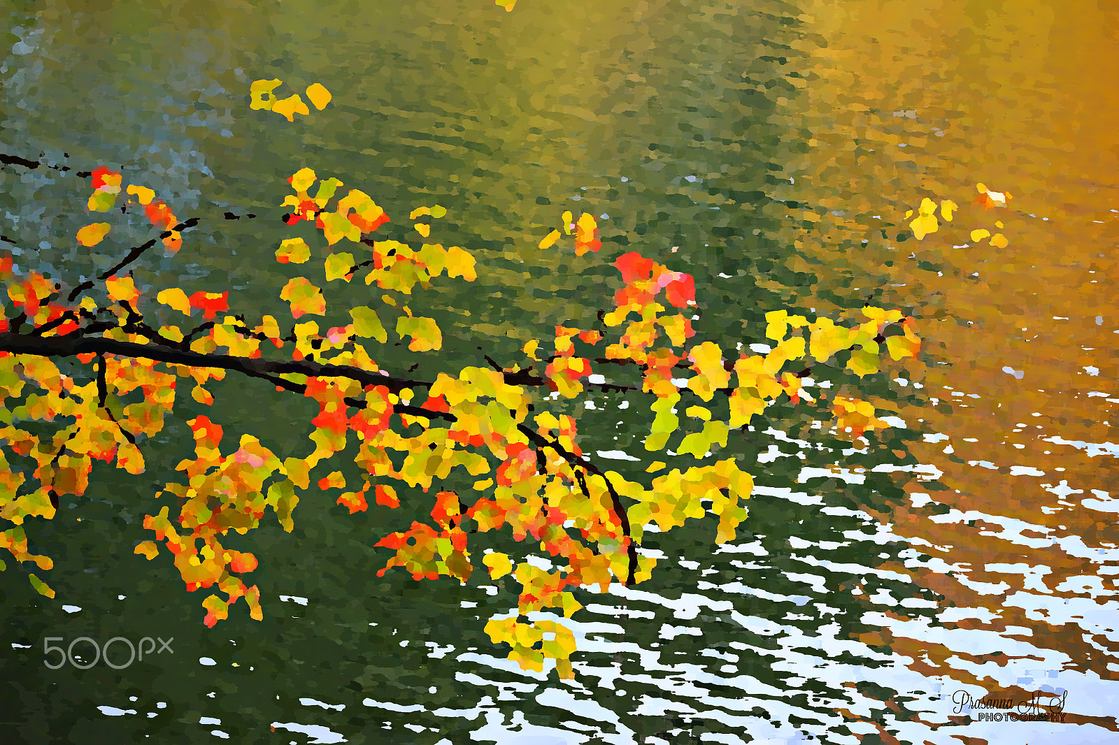 55.0 - 250.0 mm sample photo. Fall painting photography