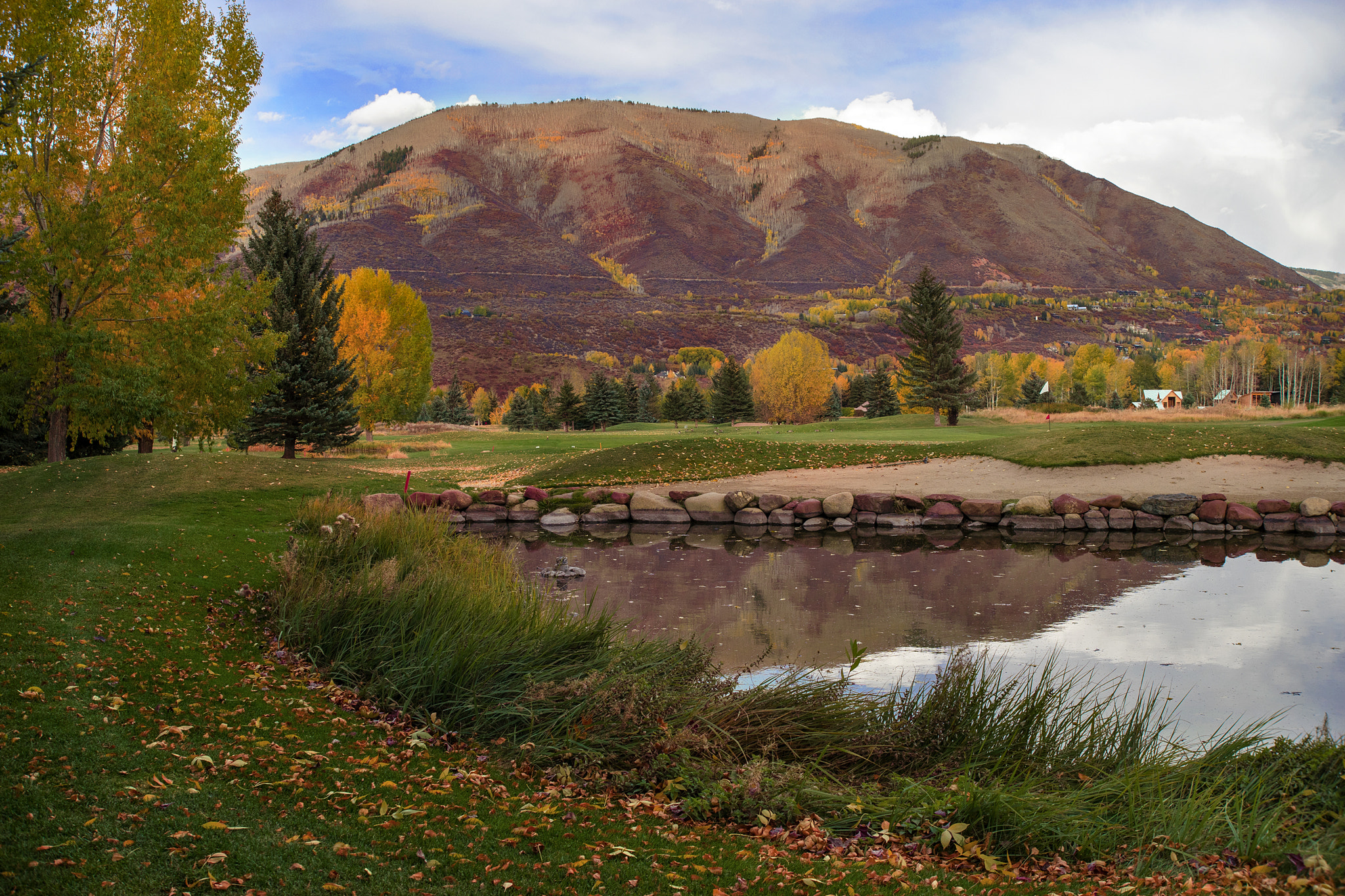 35-70mm F4 sample photo. Fall color photography