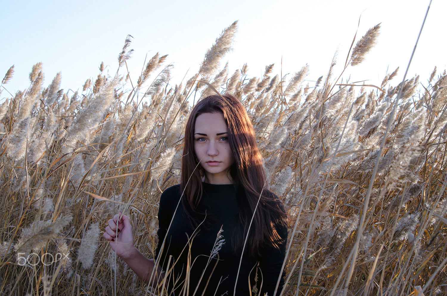 Nikon AF Nikkor 24-85mm F2.8-4D IF sample photo. Kristina photography