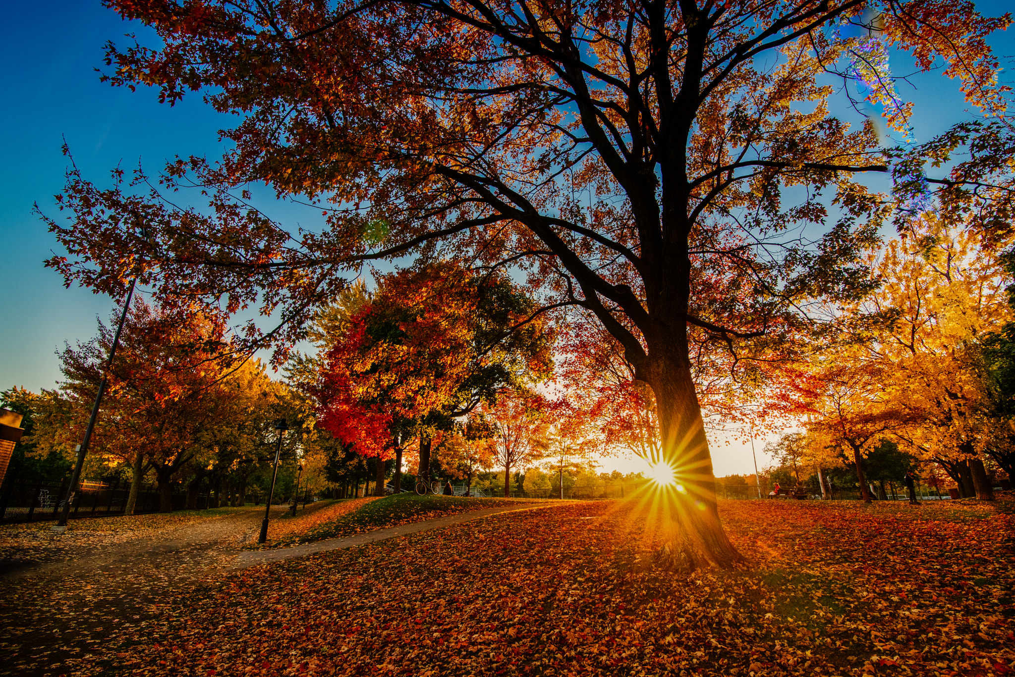 Nikon D750 + Tokina AT-X 16-28mm F2.8 Pro FX sample photo. Autumn sunset photography