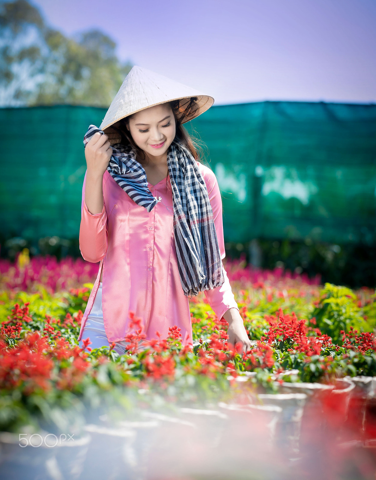 Sony a99 II + Minolta/Sony AF 70-200mm F2.8 G sample photo. 33 photography