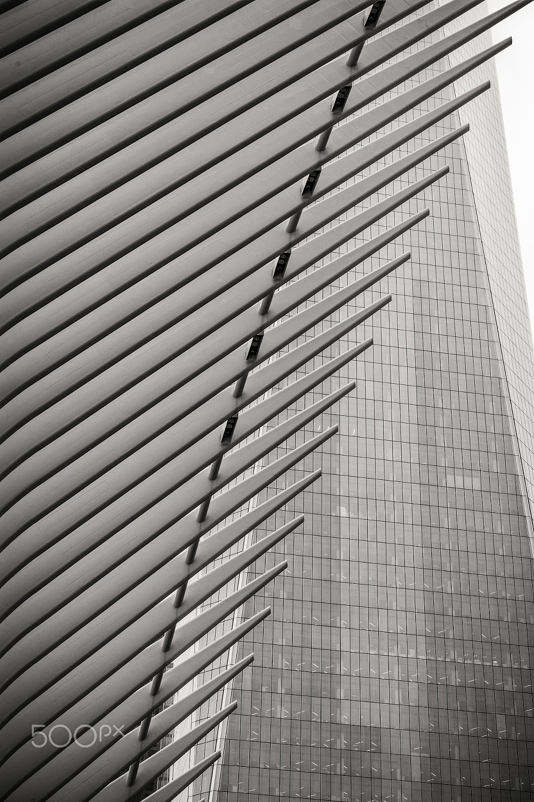 Nikon AF-S Nikkor 24-70mm F2.8E ED VR sample photo. Urban lines photography