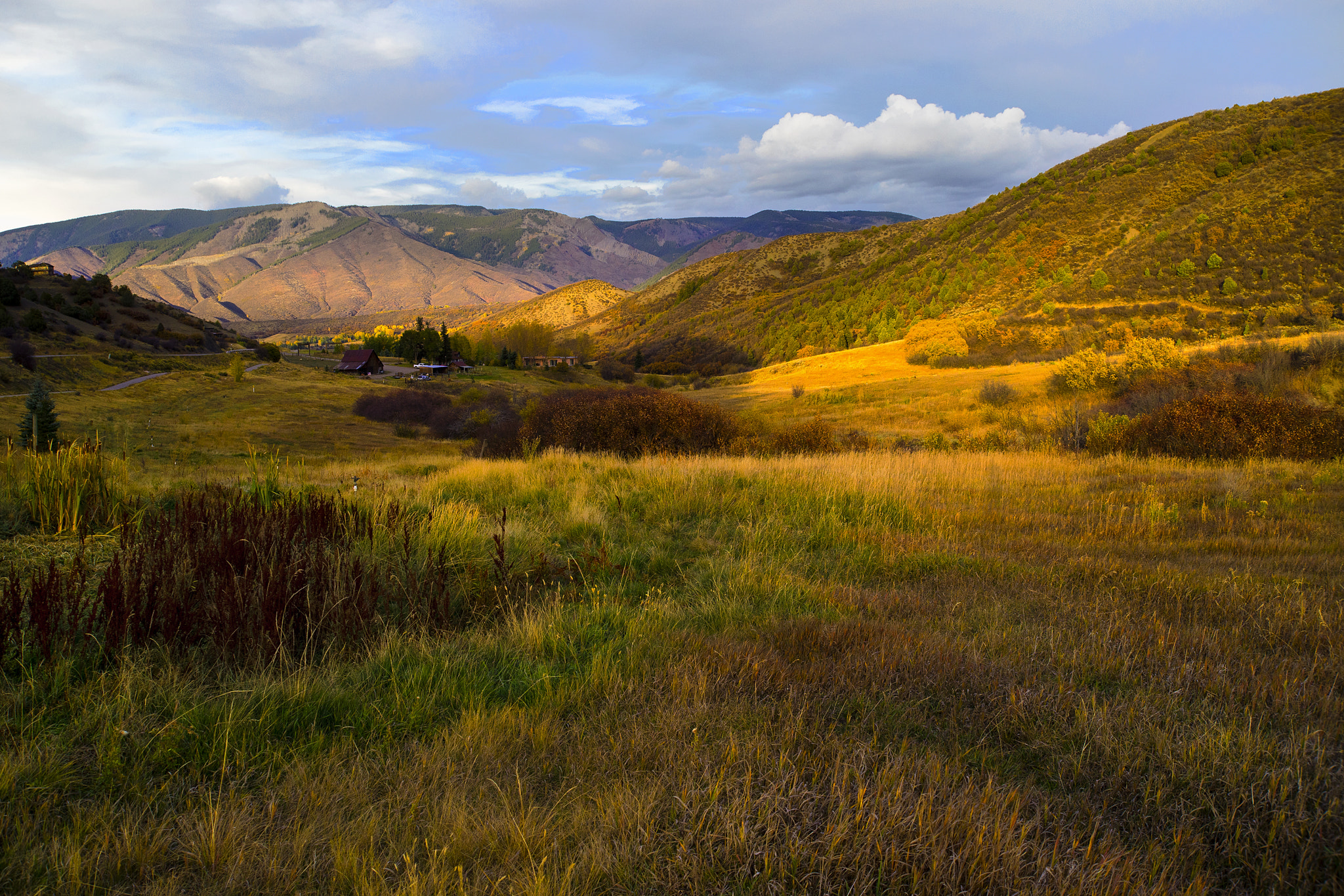 Sony a7 + 35-70mm F4 sample photo. Fall foliage photography