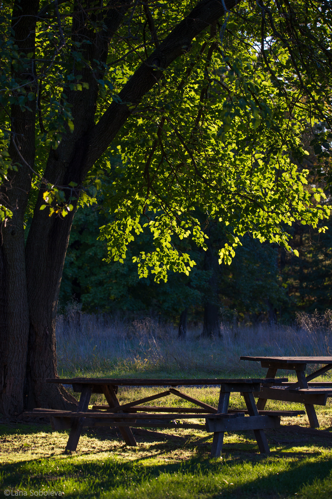 150-600mm F5-6.3 DG OS HSM | Contemporary 015 sample photo. The light of day photography