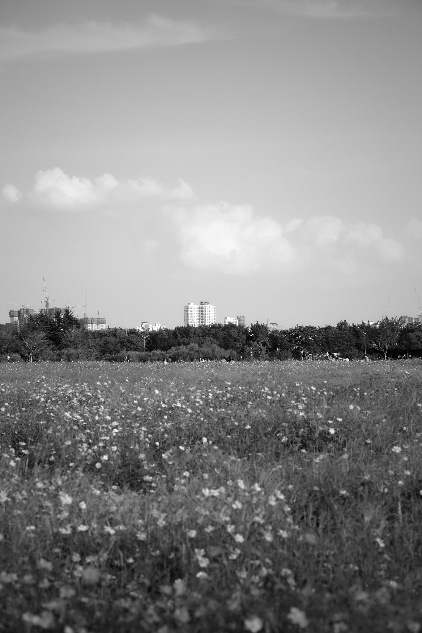 Canon EOS 6D + Canon EF 100mm F2.0 USM sample photo. Far away photography