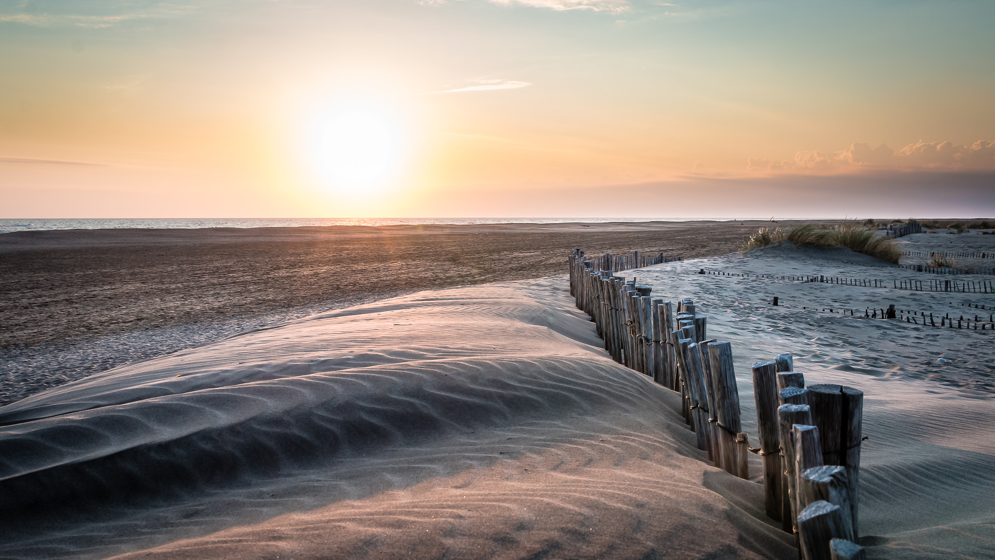 Sigma 24-105mm f/4 DG OS HSM | A sample photo. Lunaire photography