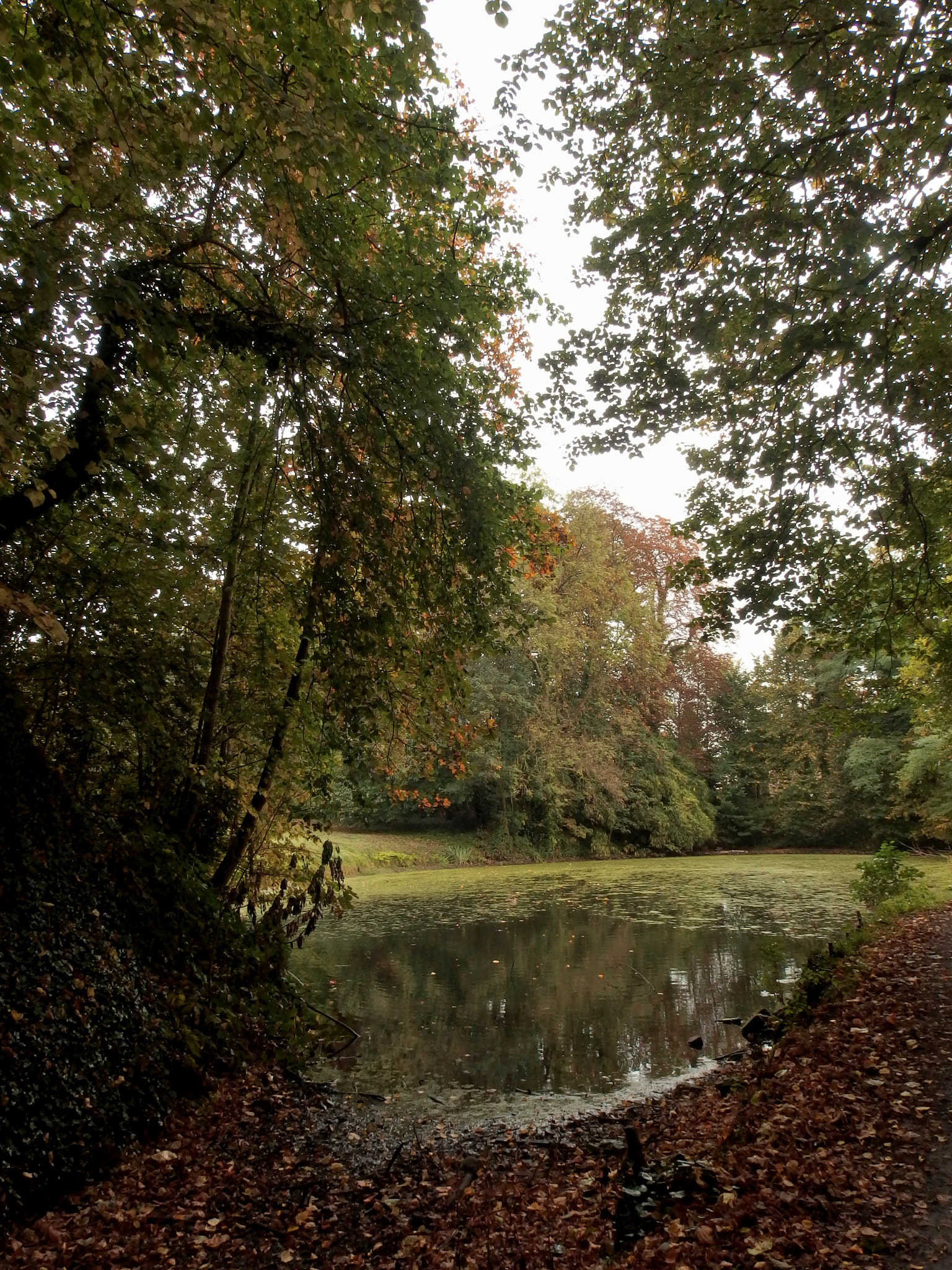 Olympus Stylus XZ-10 sample photo. Little pond with autumn colors. photography