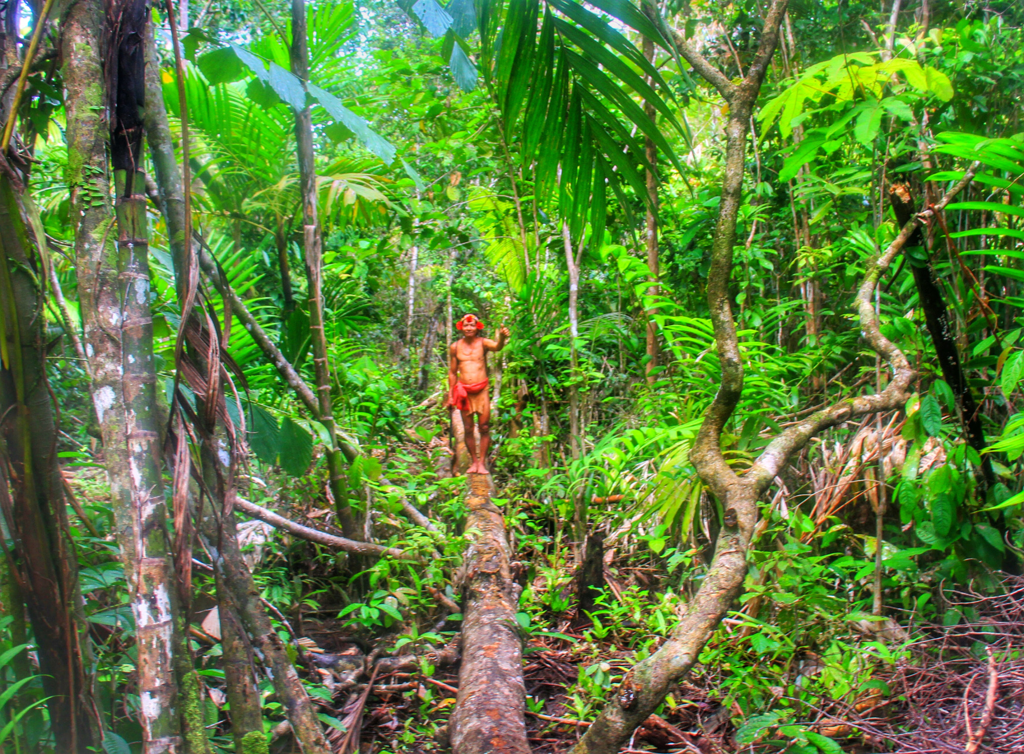 Canon EF-S 18-200mm F3.5-5.6 IS sample photo. Jungle man, mentawai islands photography