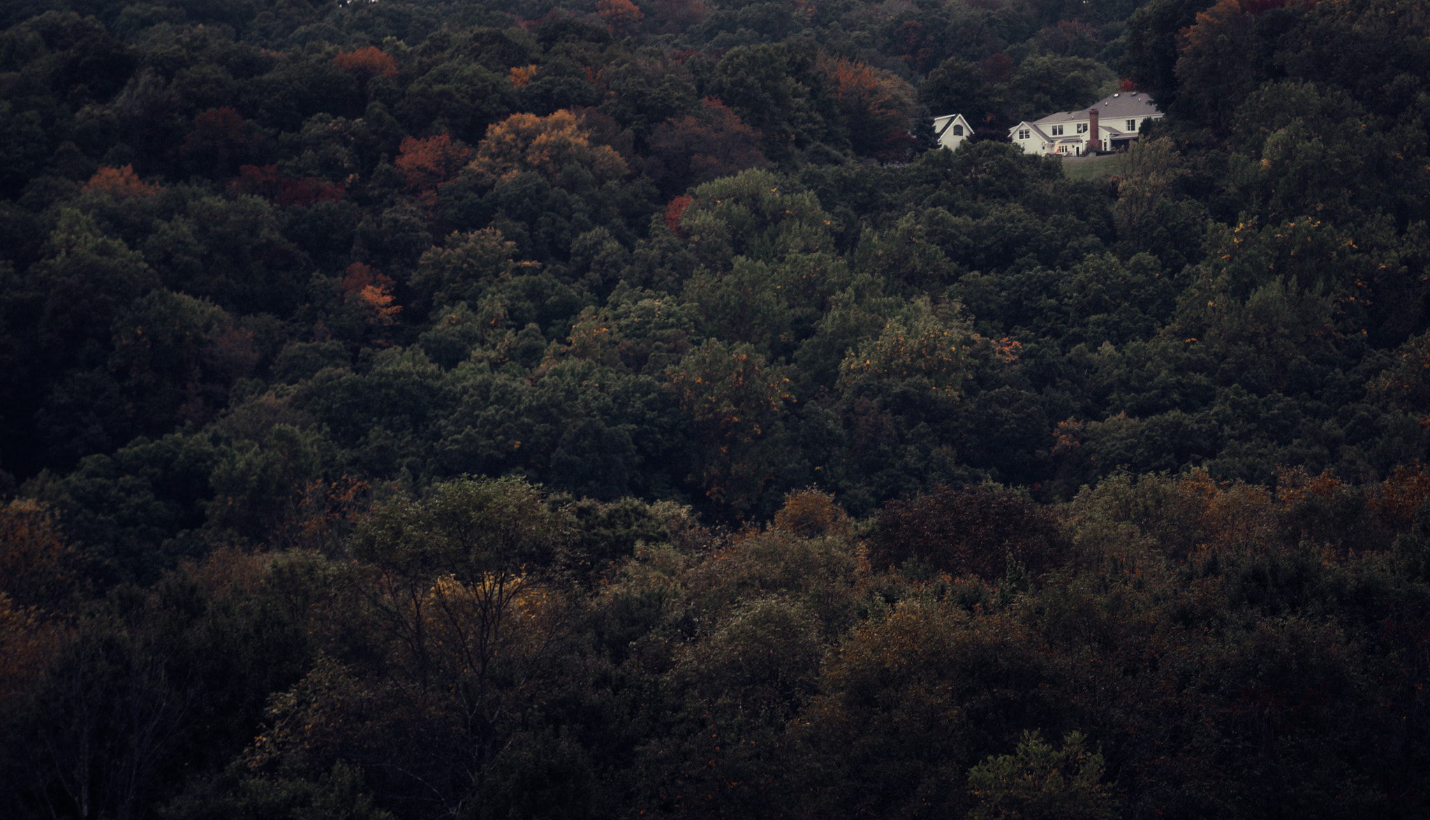 Nikon D500 sample photo. Lonely house on a hill photography