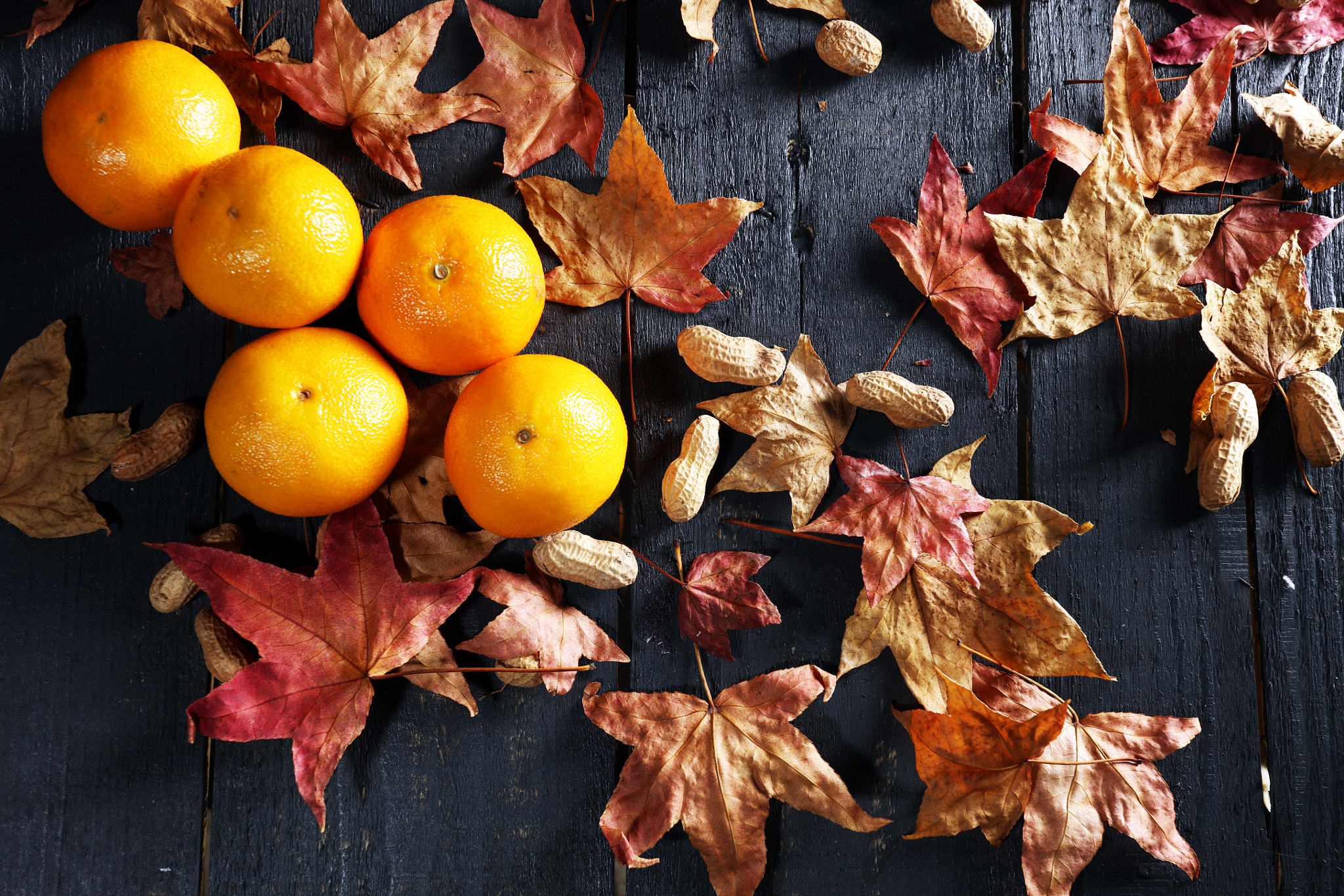 Canon EOS 5DS R + Canon EF 17-40mm F4L USM sample photo. Leaves & tangarines photography