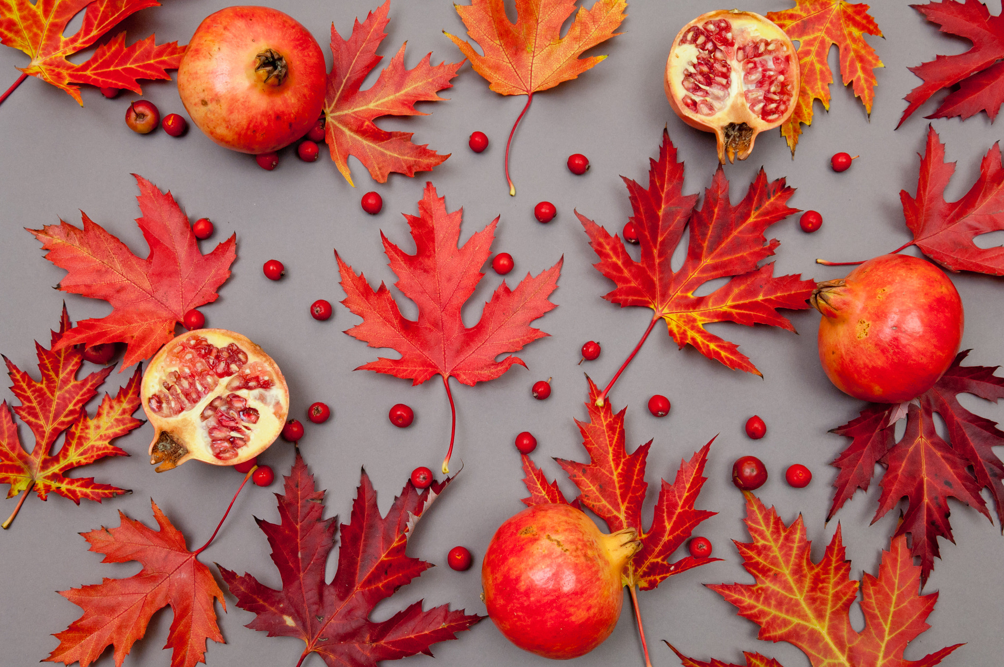 Nikon D2X + Nikon AF-S DX Nikkor 17-55mm F2.8G ED-IF sample photo. Pomegranates and autumn red fallen leaves pattern on grey backgr photography