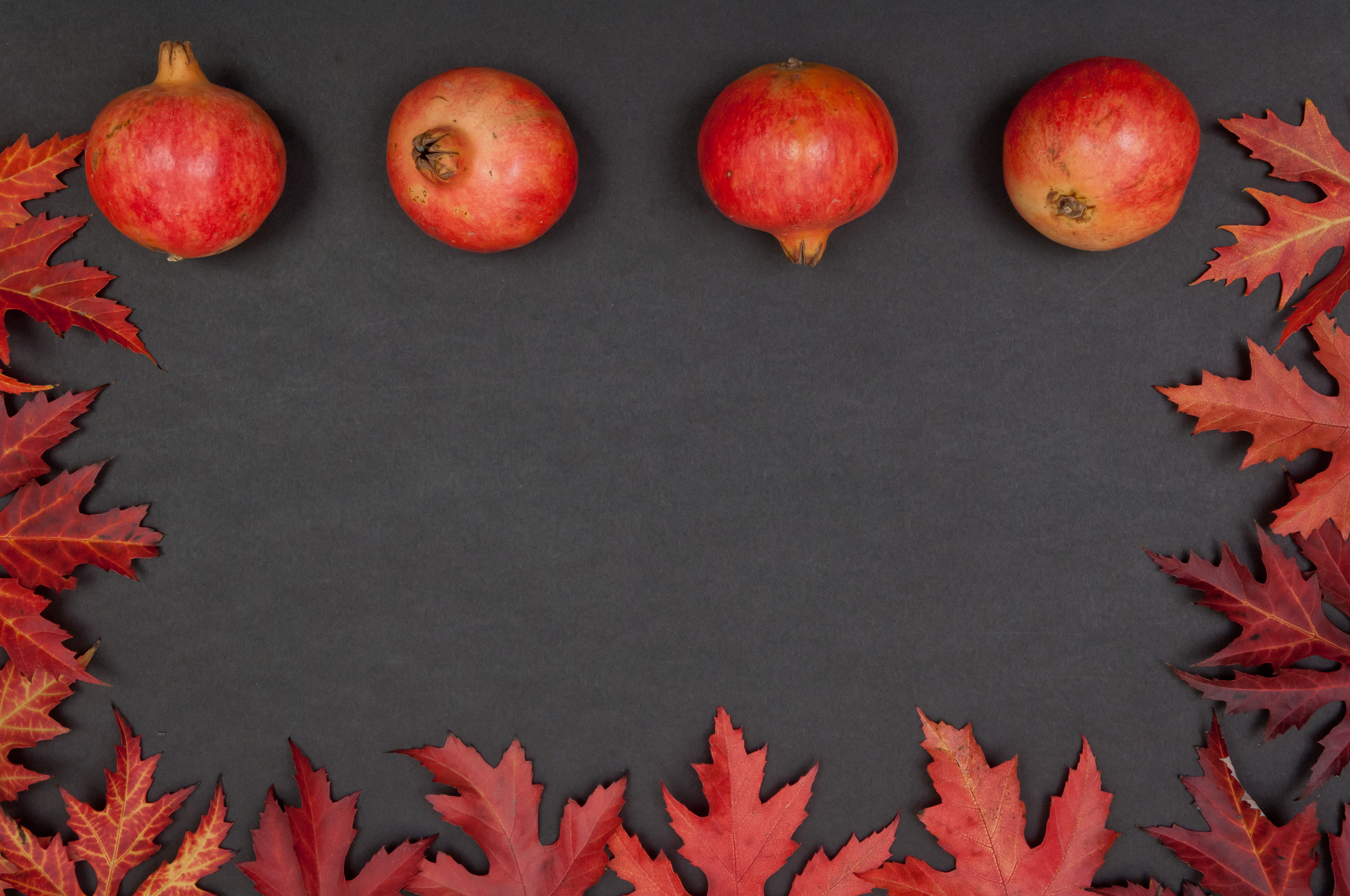 Nikon D2X sample photo. Pomegranates in row and frame of leaves on grey background photography