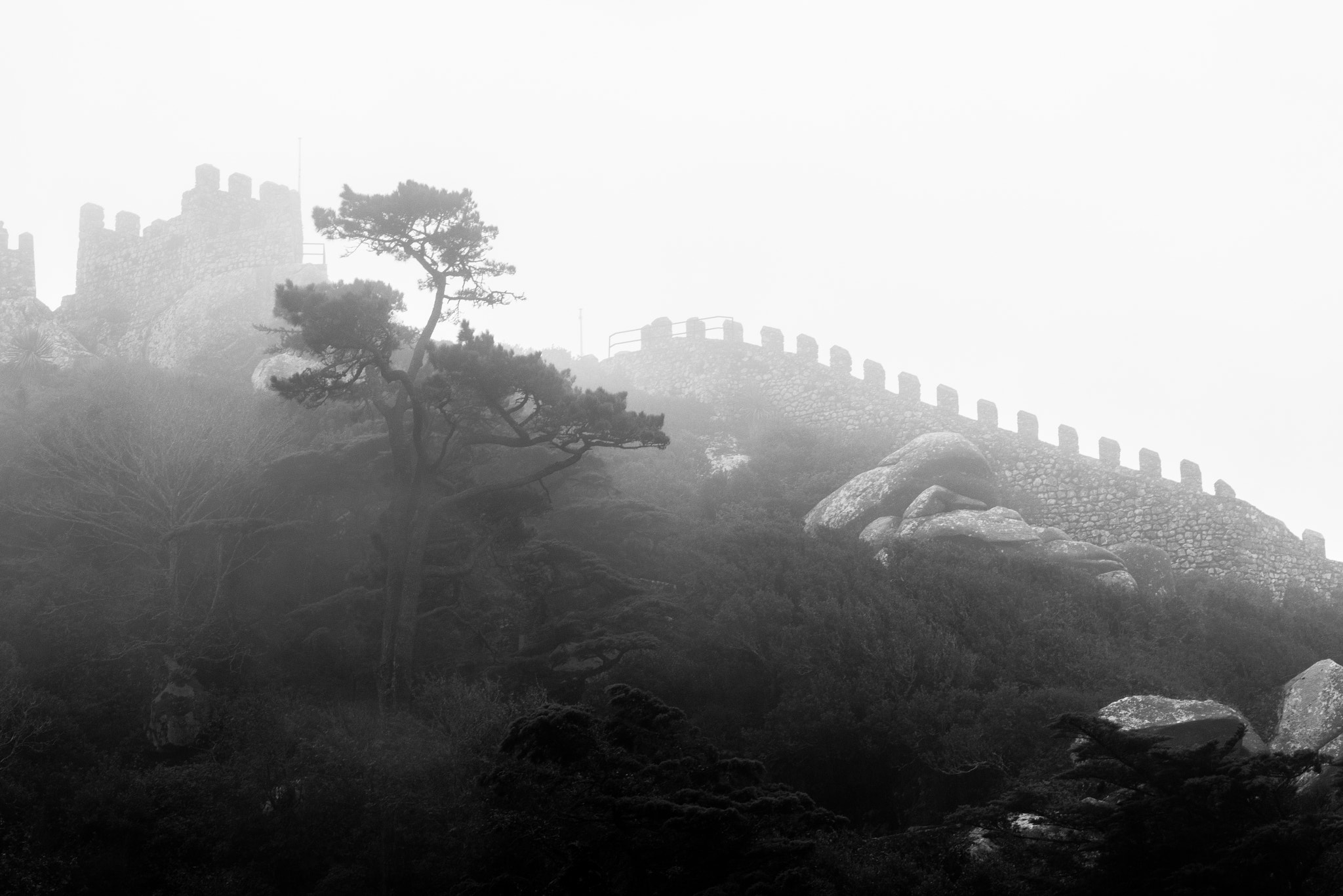Nikon AF-S Nikkor 24-70mm F2.8G ED sample photo. Dreamscape in black and white photography
