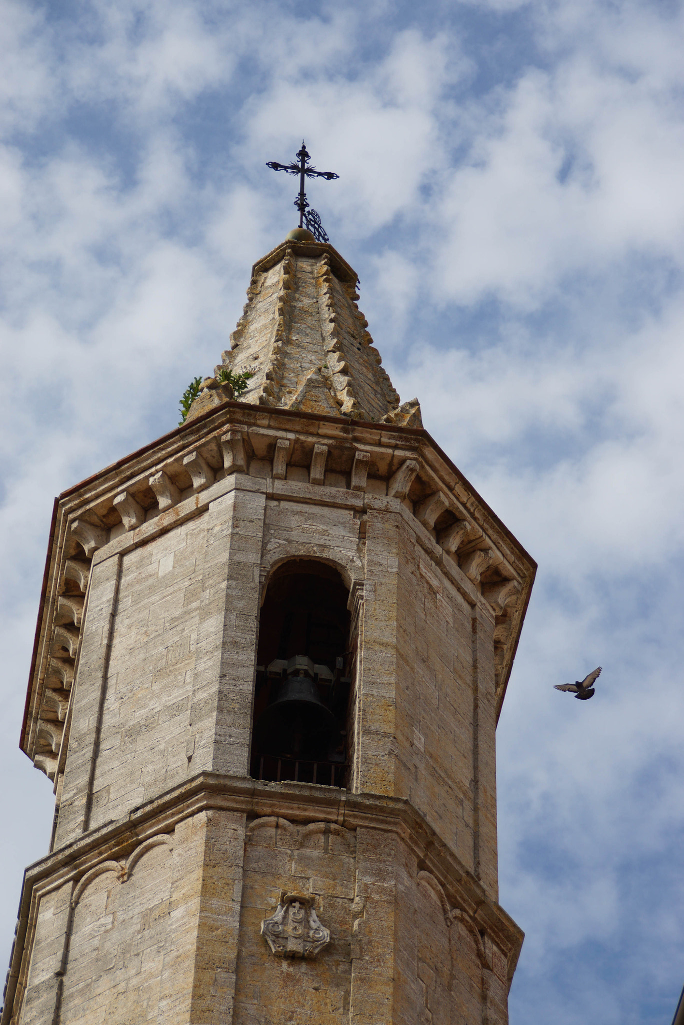 Sony SLT-A65 (SLT-A65V) sample photo. Look in the sky photography