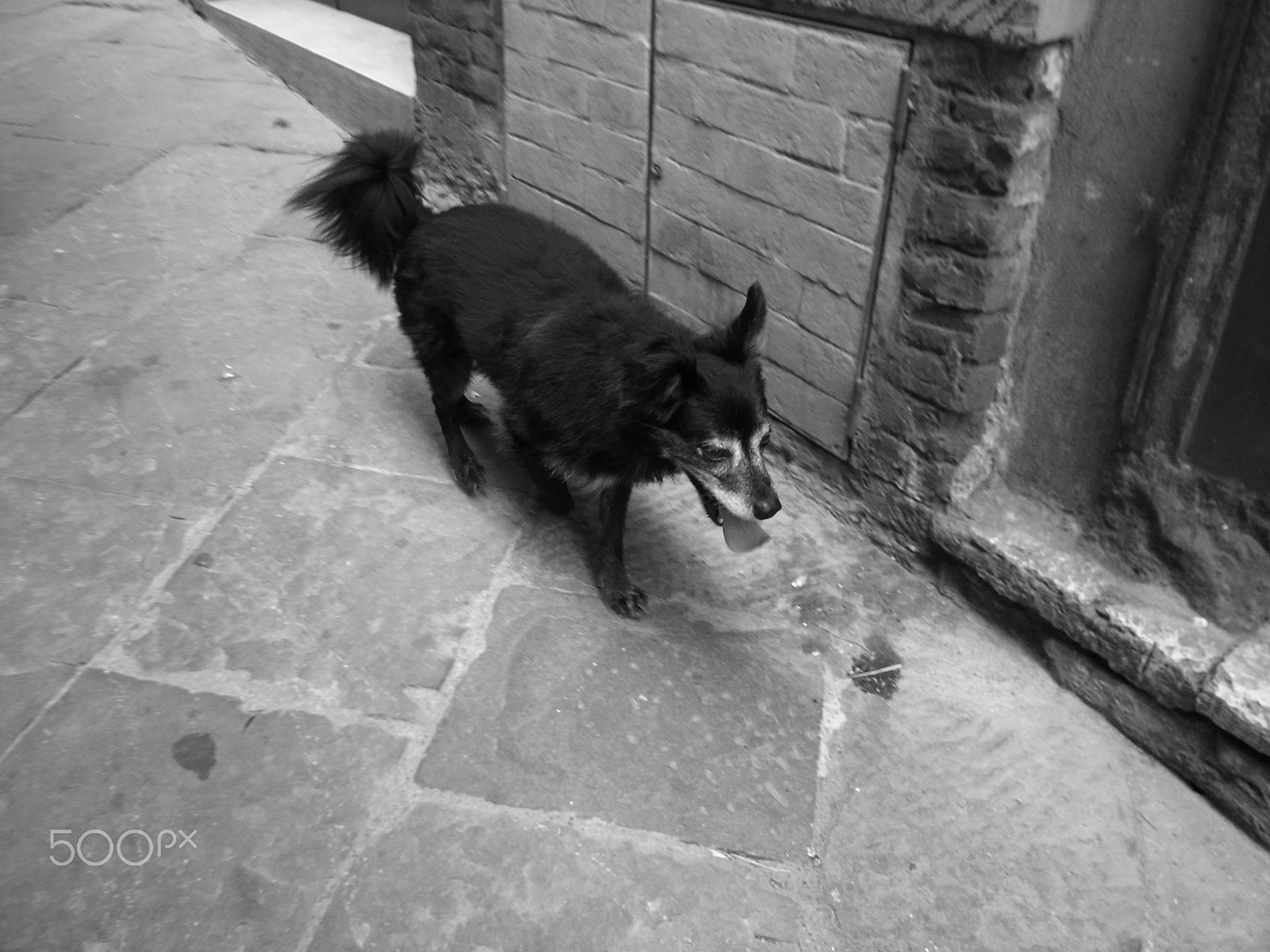 Ricoh GR DIGITAL 2 sample photo. Exif_jpeg_picture photography