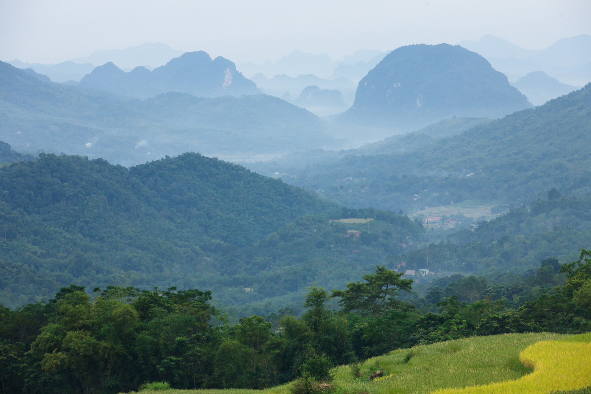 Canon EOS-1Ds Mark III sample photo. Pu luong photography
