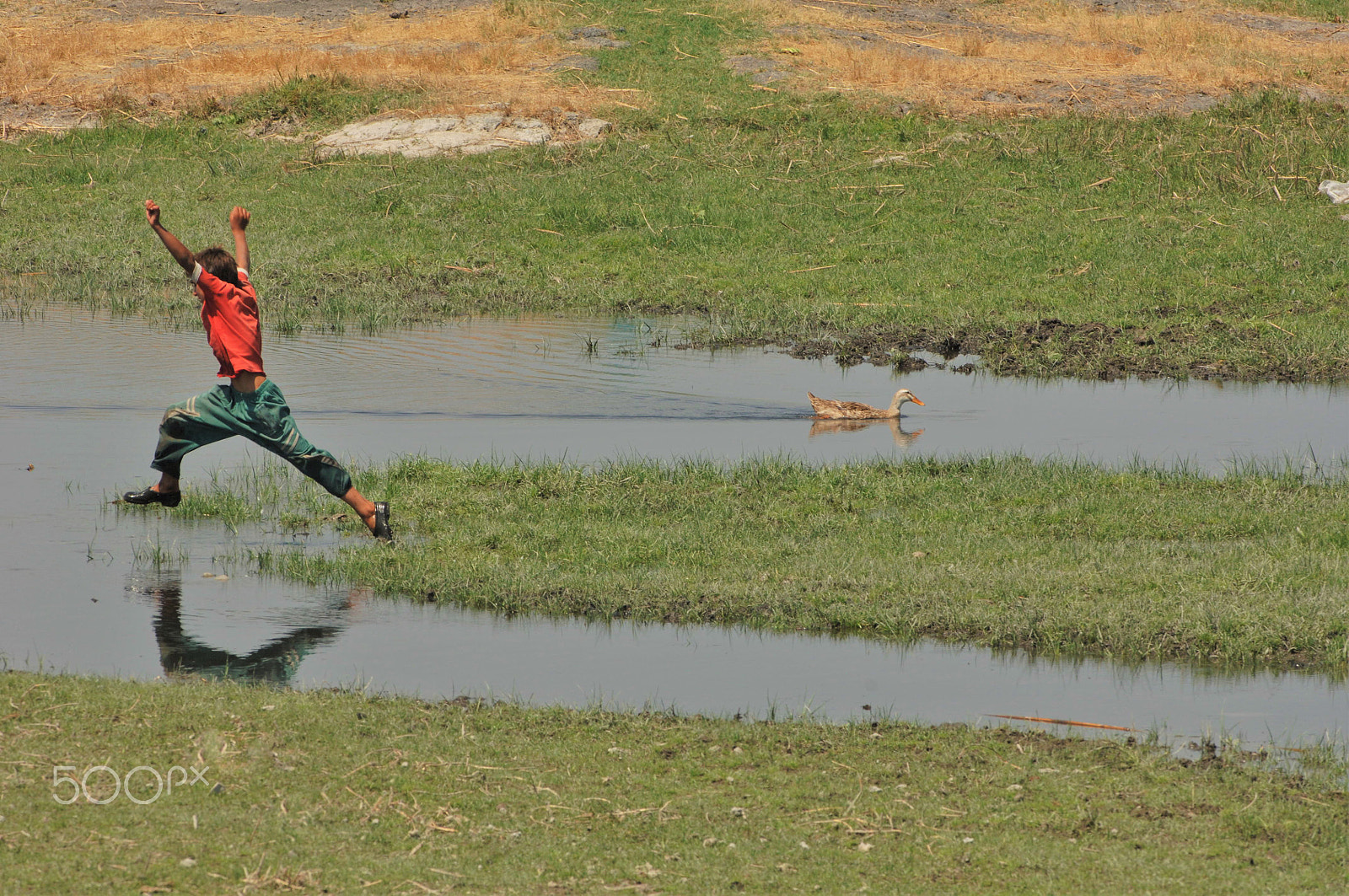 Nikon AF-S Nikkor 300mm F4D ED-IF sample photo. Jump over aras river photography