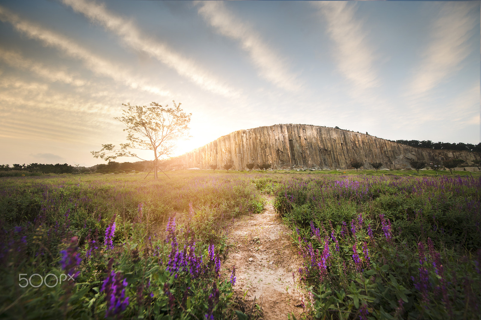 Sigma 12-24mm F4.5-5.6 II DG HSM sample photo. 马山无水印 photography