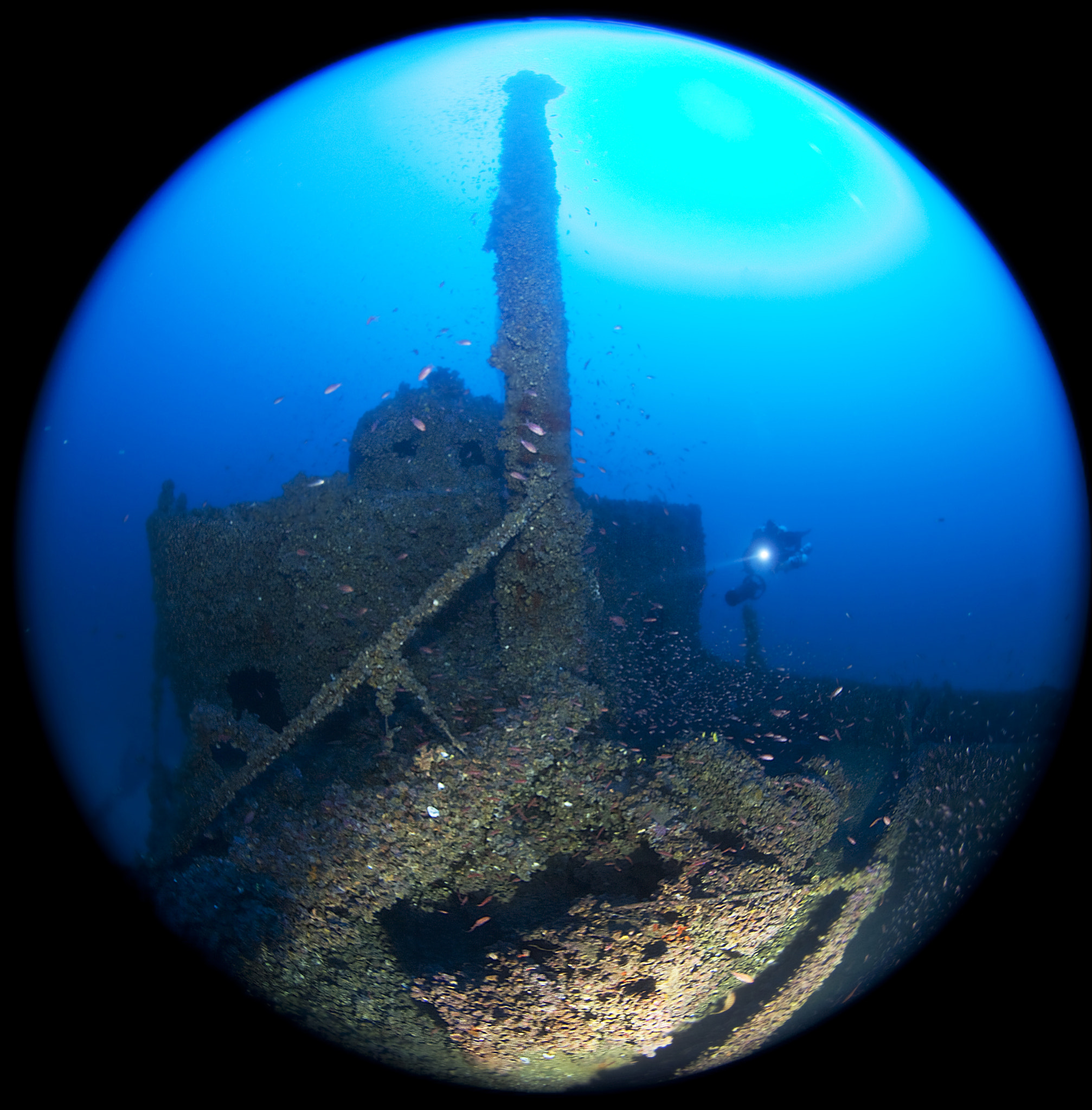 Canon EF 8-15mm F4L Fisheye USM sample photo. Submerged photography