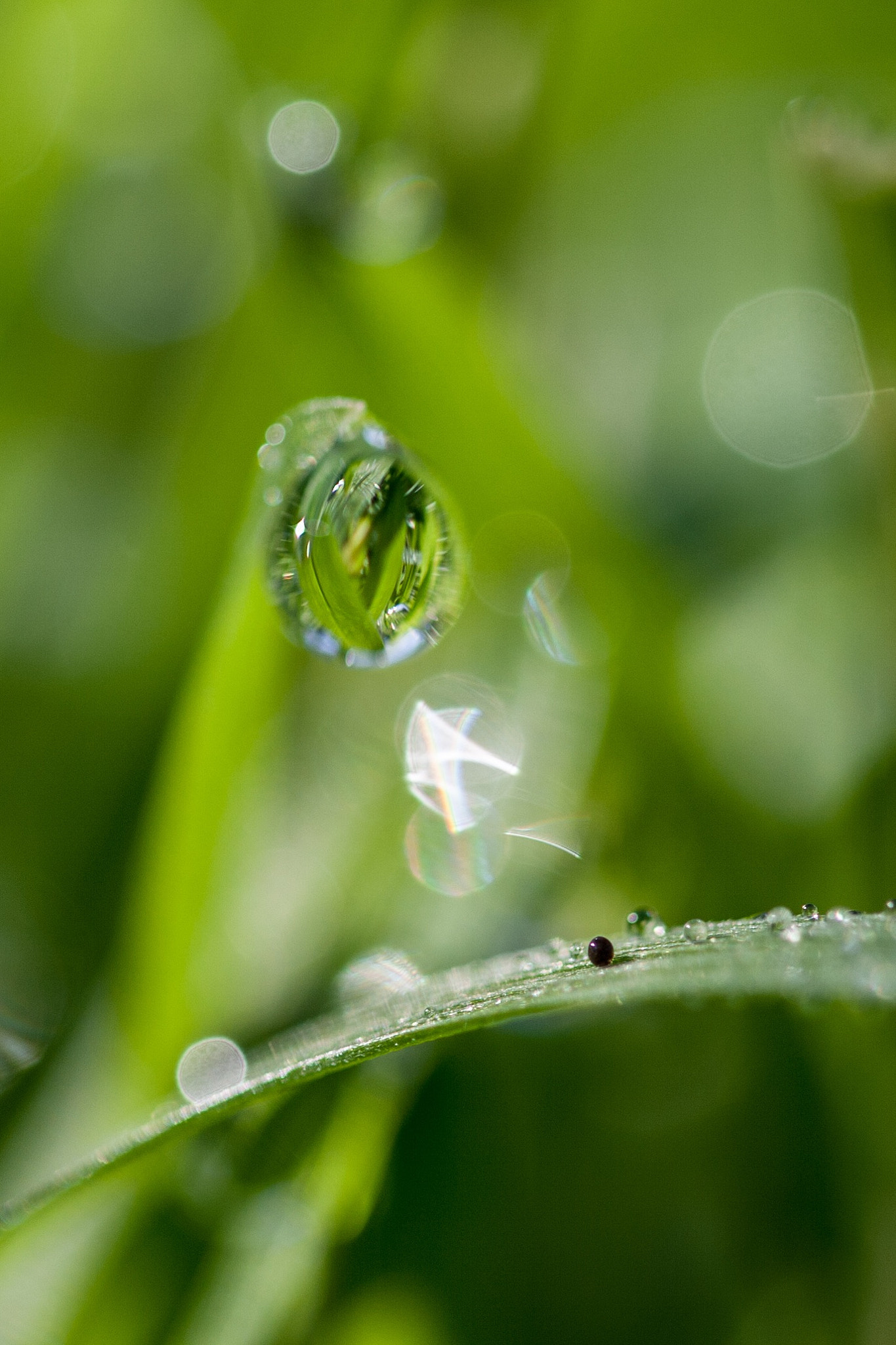 Canon EF-S 60mm F2.8 Macro USM sample photo. 8 ball photography