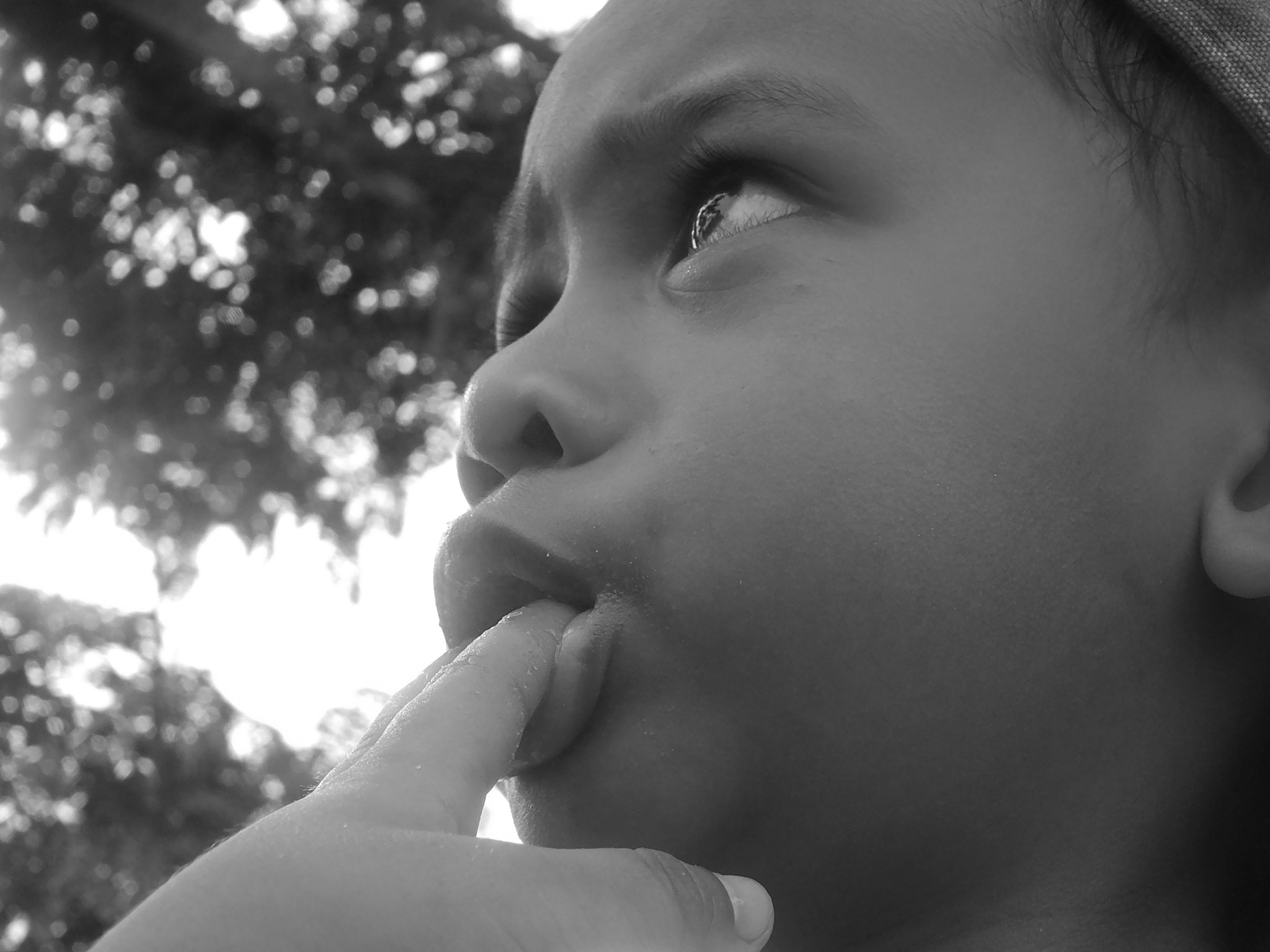 Fujifilm FinePix HS33EXR sample photo. Helmy photography