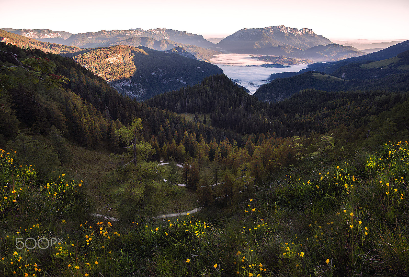 Nikon D600 sample photo. Schönau im nebel photography