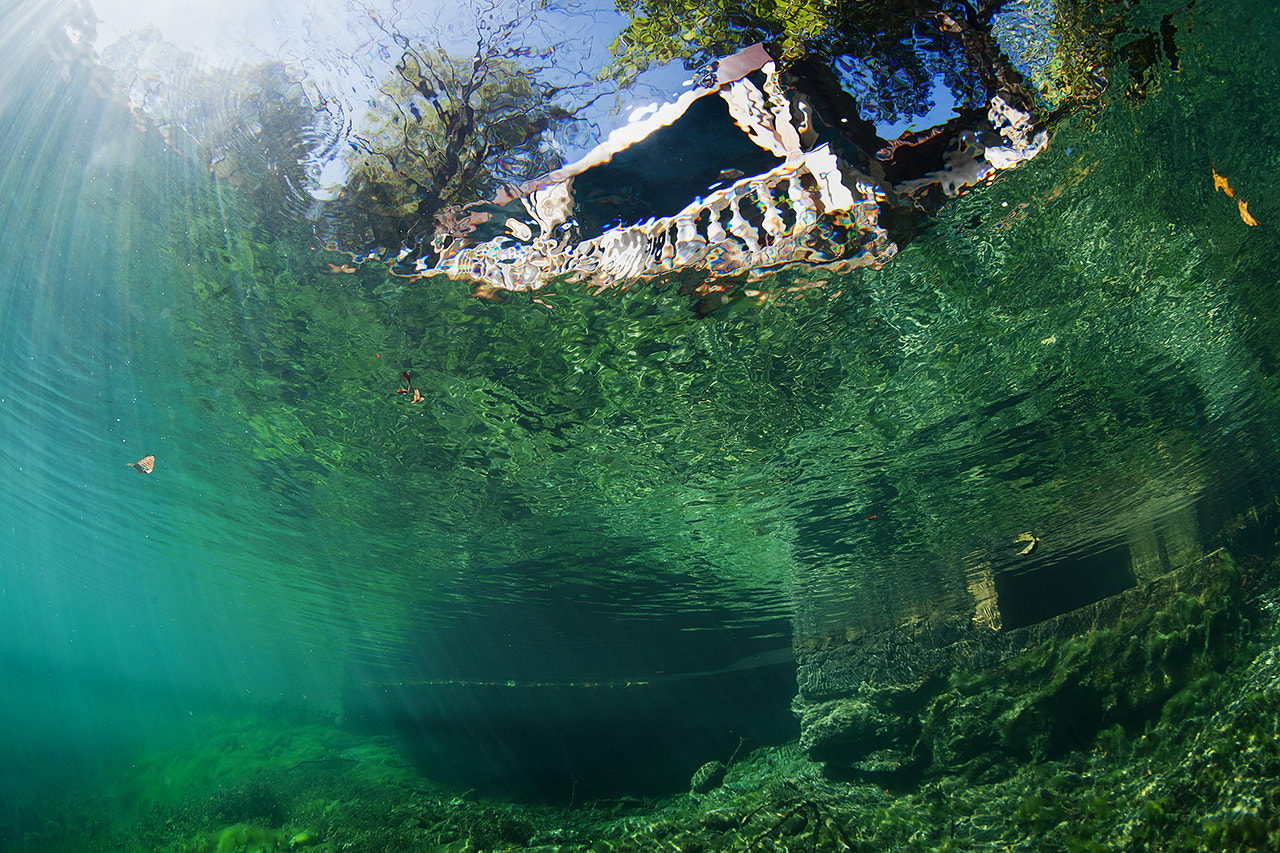 Canon EF 15mm F2.8 Fisheye sample photo. Lake story photography