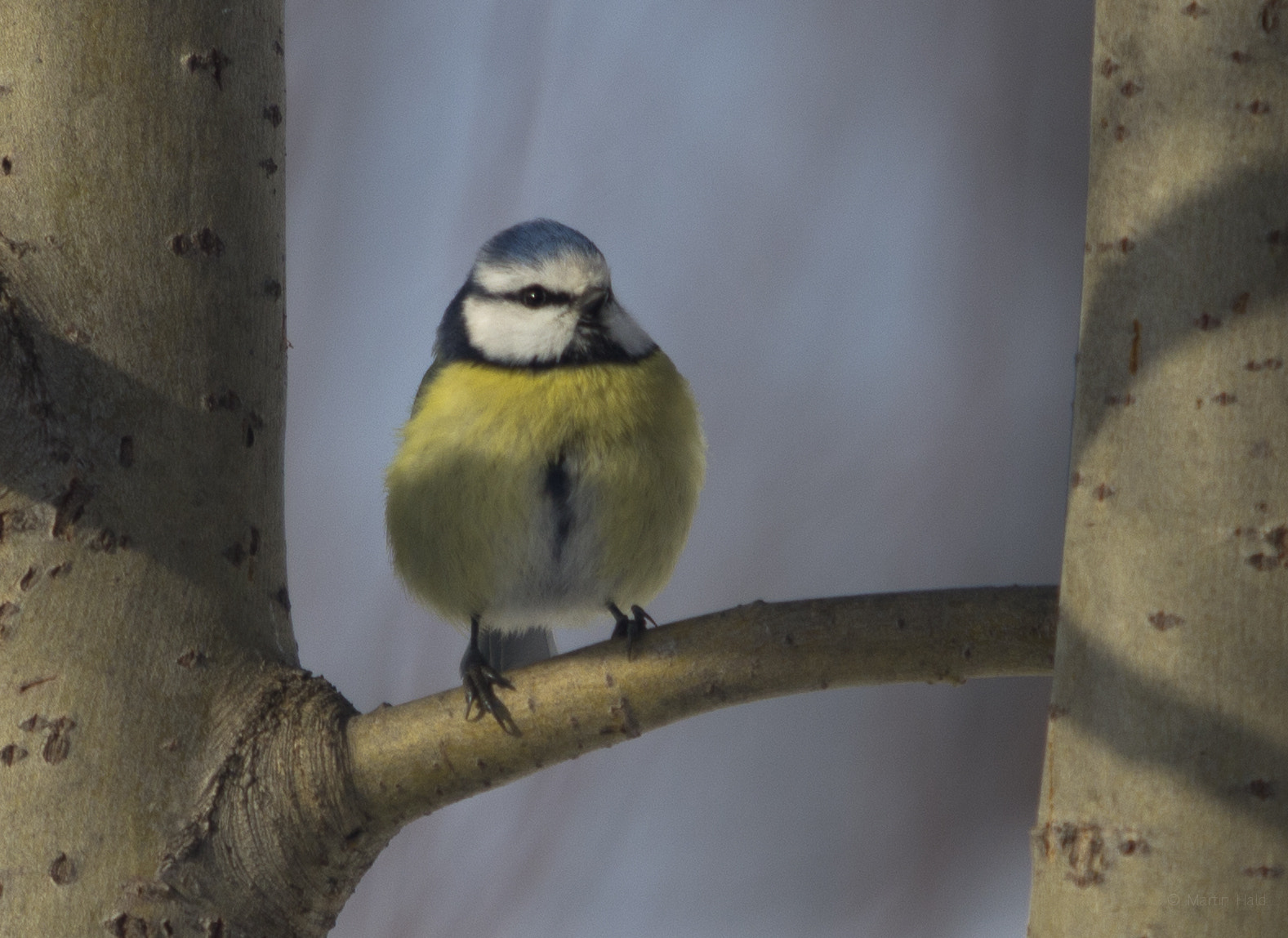 Canon EF 70-200mm F2.8L USM sample photo. Vassfaret national park photography
