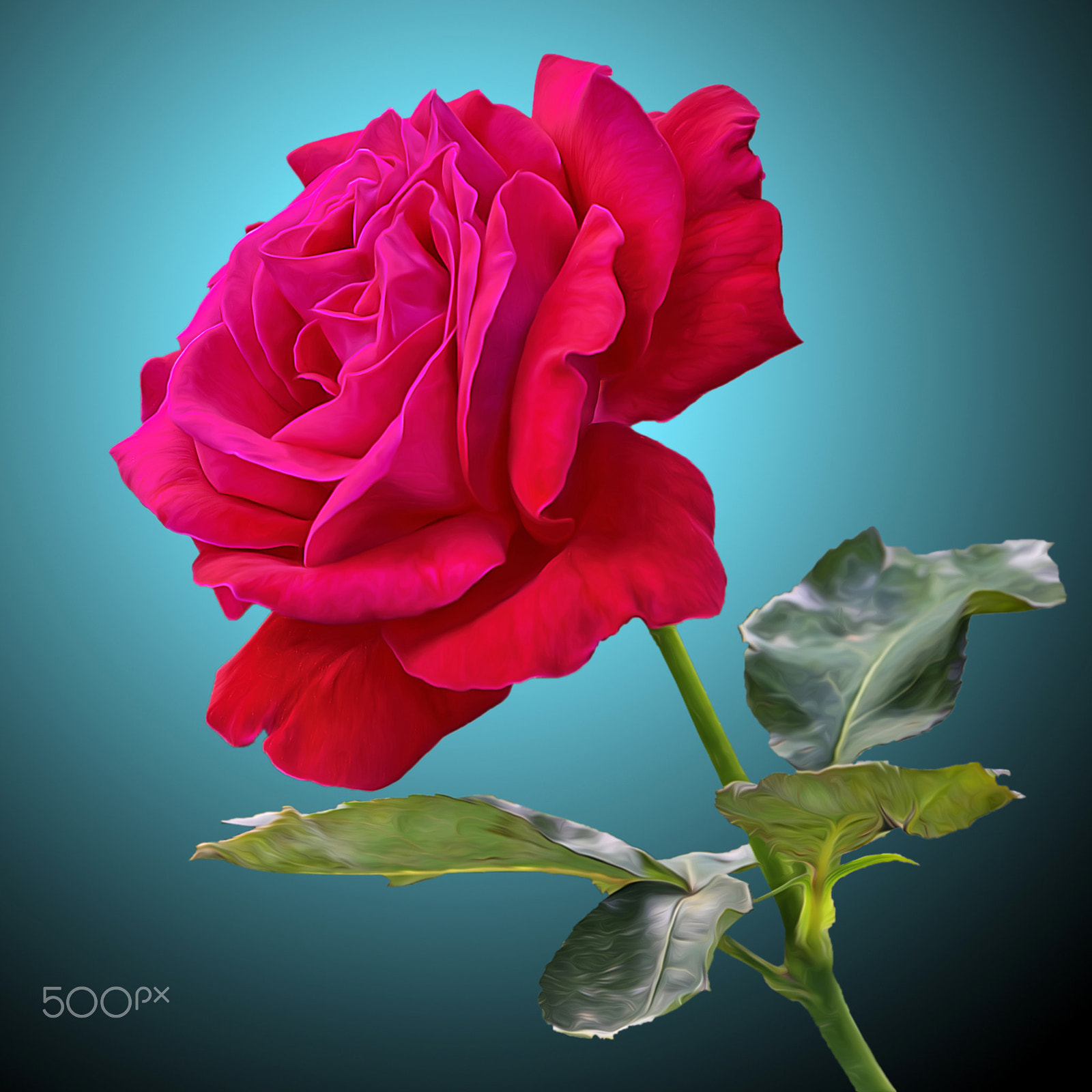Pentax K-5 sample photo. Red rose photography