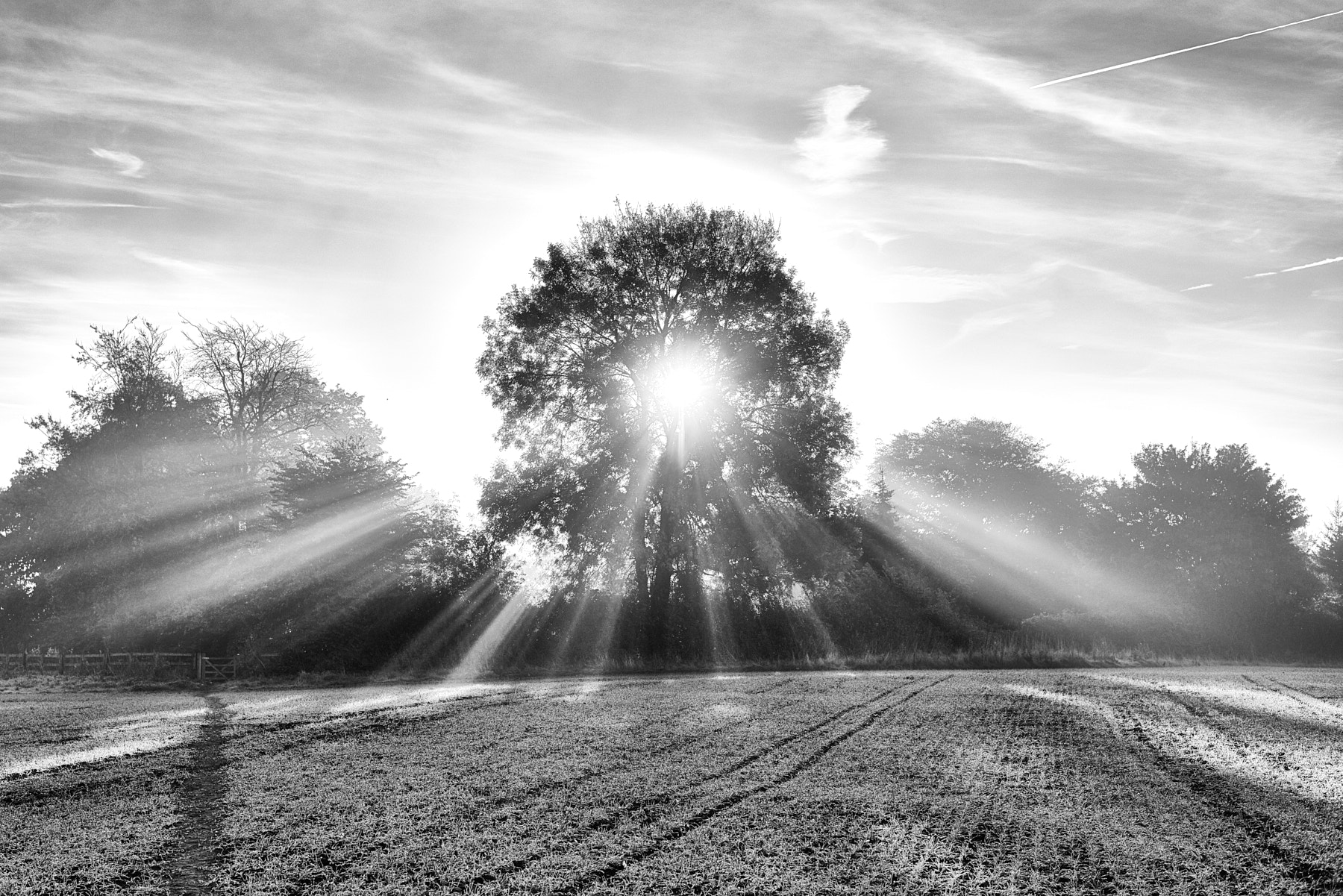 Nikon AF-S Nikkor 50mm F1.8G sample photo. Morning sun photography