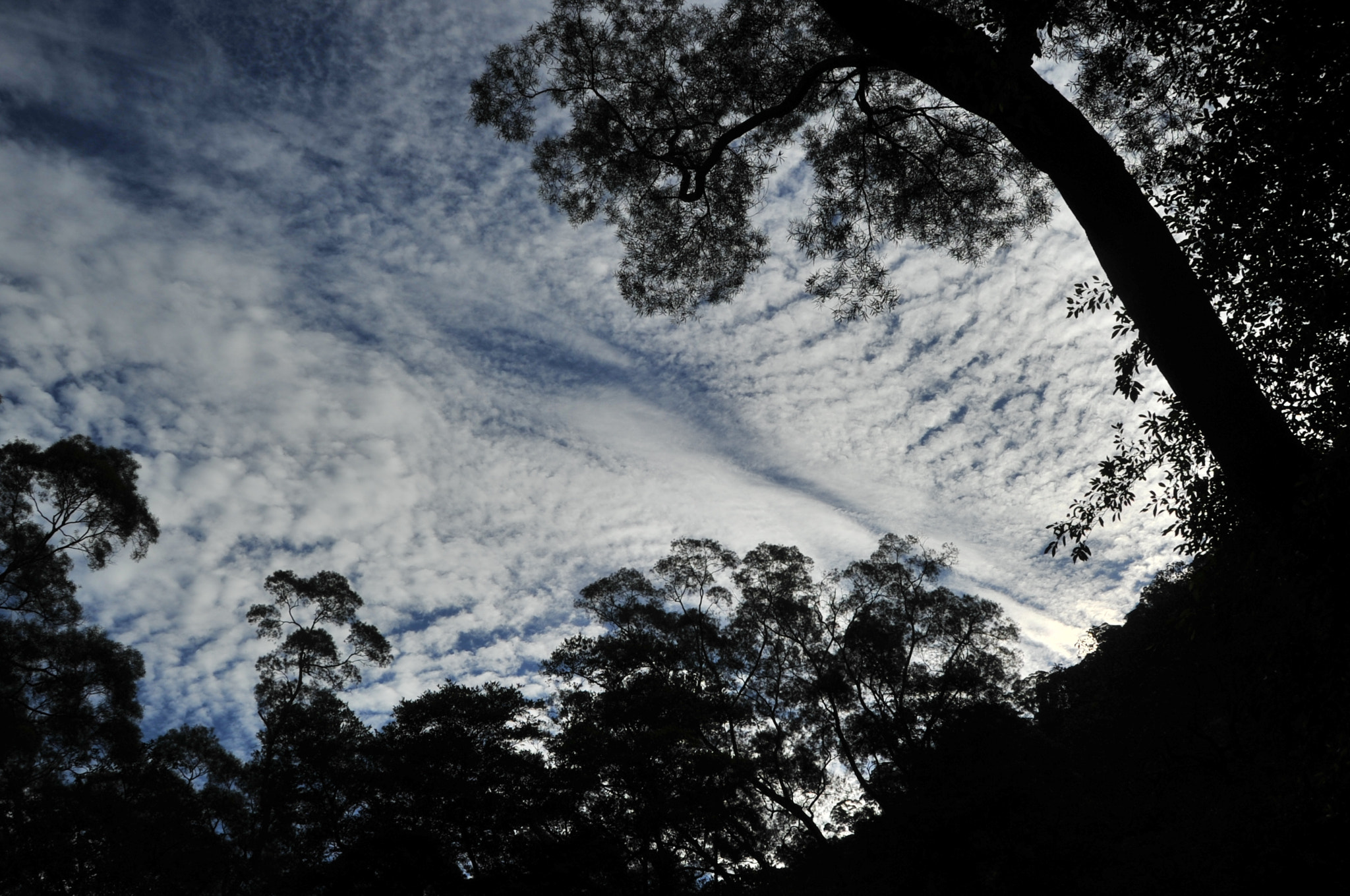 Nikon D3S sample photo. .. photography
