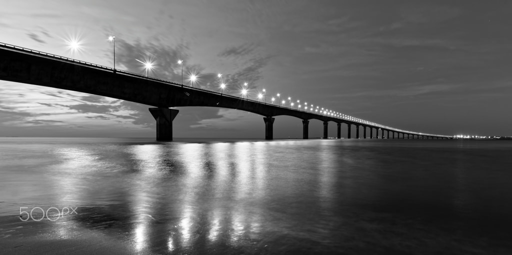 Tokina AT-X Pro 12-24mm F4 (IF) DX sample photo. The bridge in b&w photography