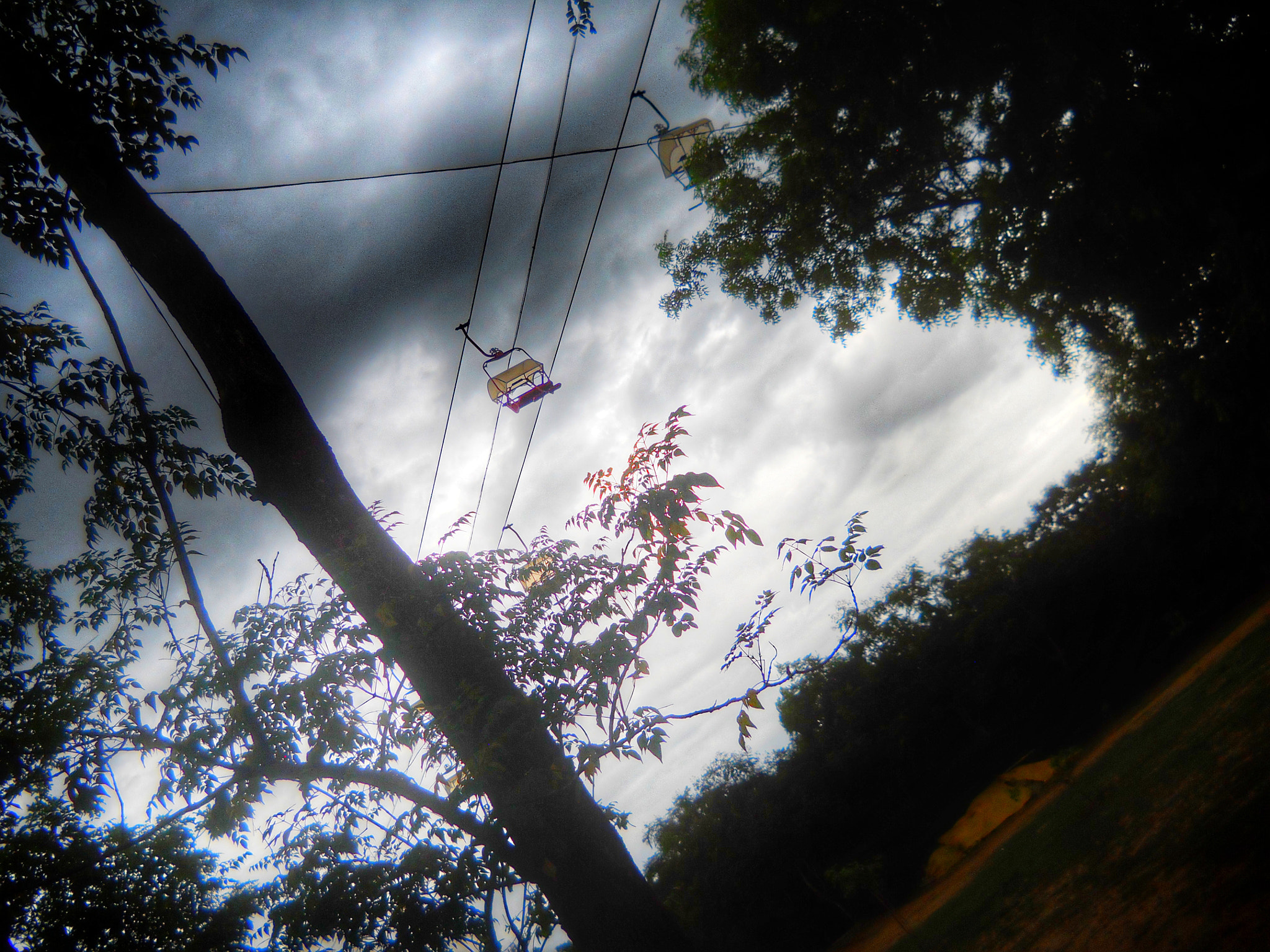 Nikon Coolpix L24 sample photo. Up in the sky  photography