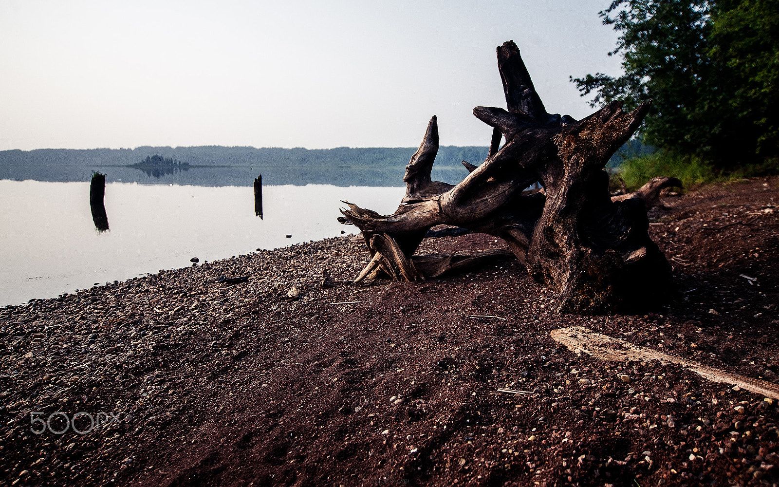 Tokina AT-X Pro 12-24mm F4 (IF) DX sample photo. Warm day photography