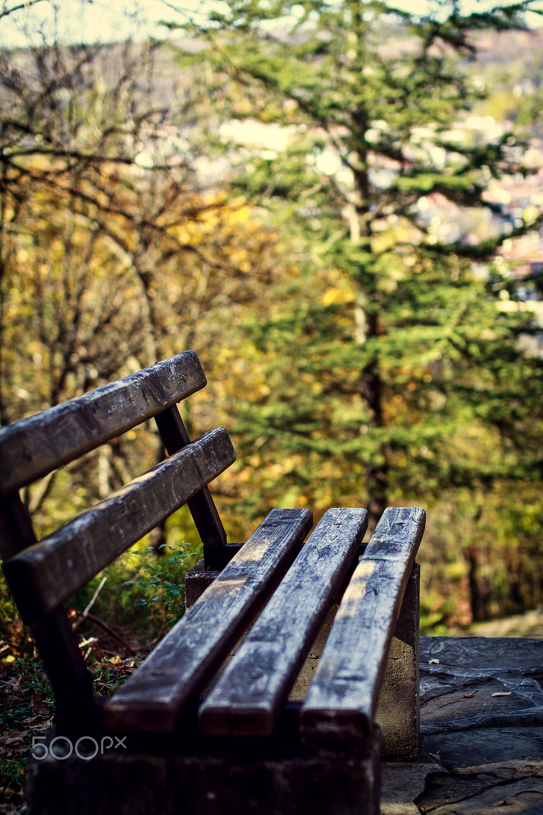 Sigma 50mm F1.4 EX DG HSM sample photo. Autumn photography