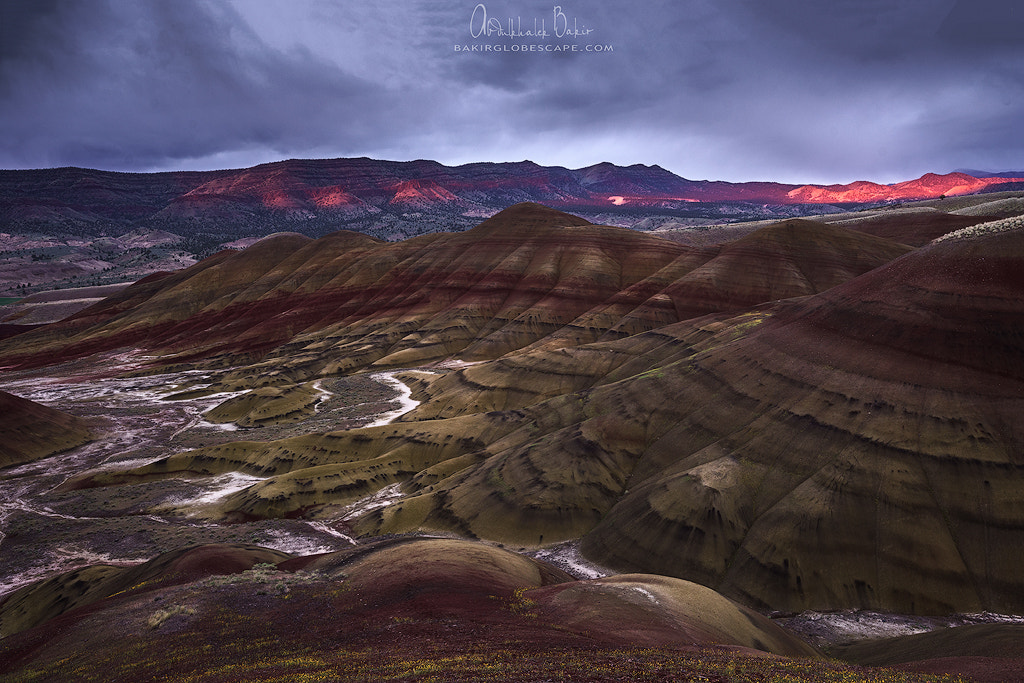 Sony a7R + Canon EF 16-35mm F2.8L II USM sample photo. Painted nature photography