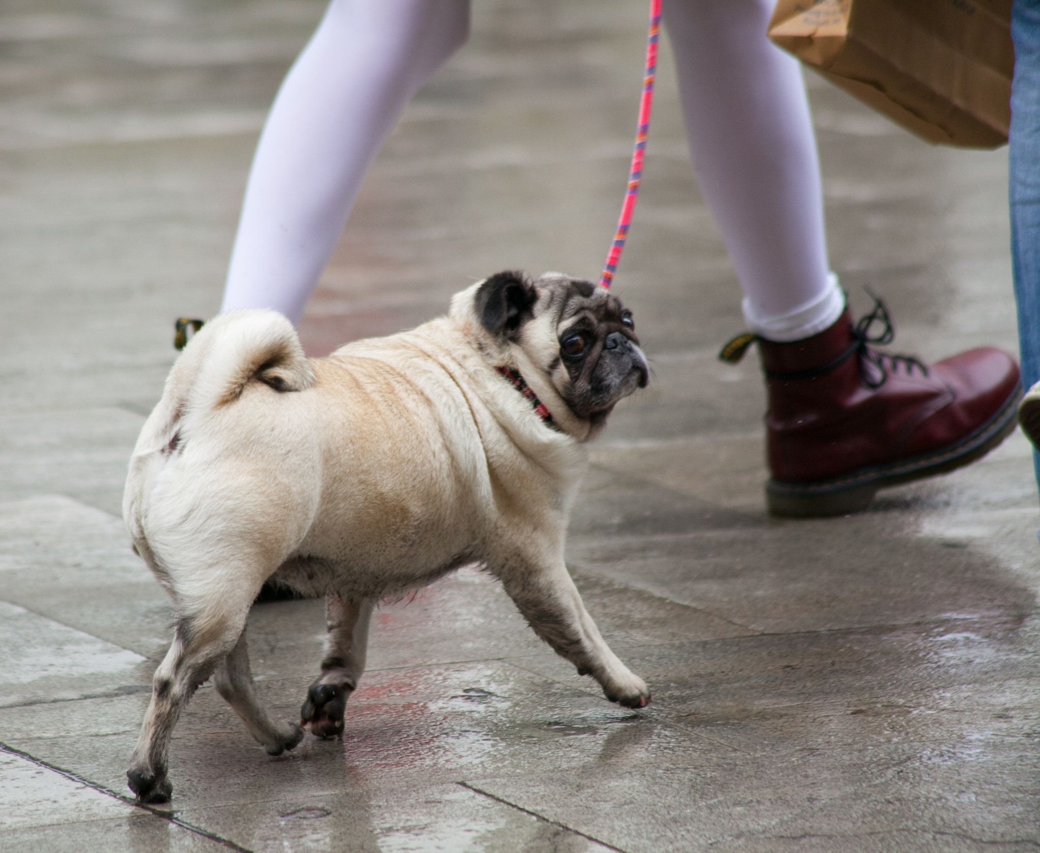 Canon EF 75-300mm F4.0-5.6 IS USM sample photo. What the... photography