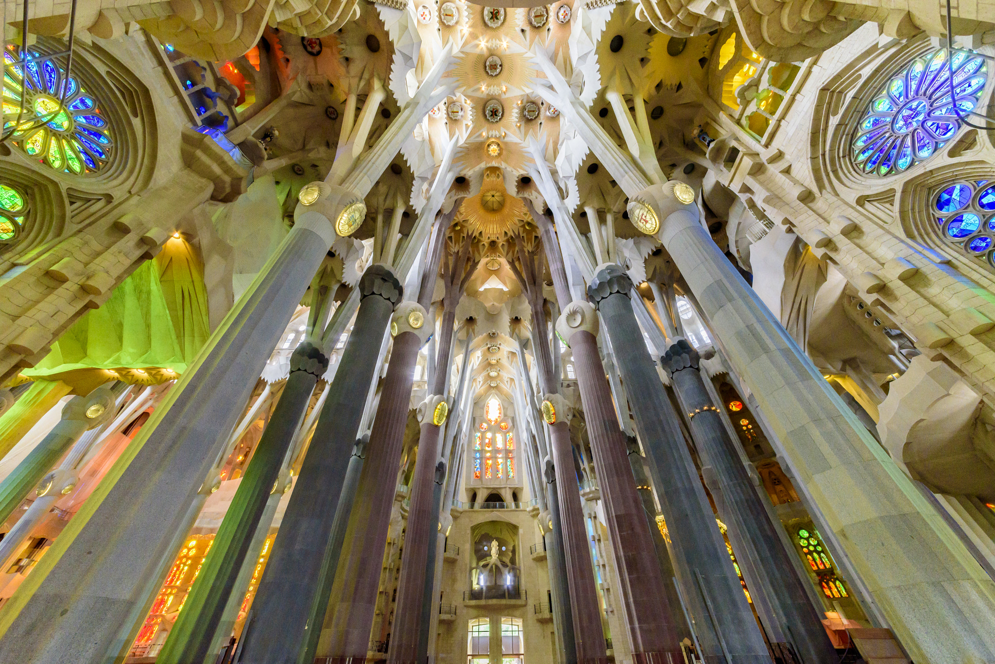 Sigma 12-24mm F4.5-5.6 II DG HSM sample photo. Reaching for heaven photography