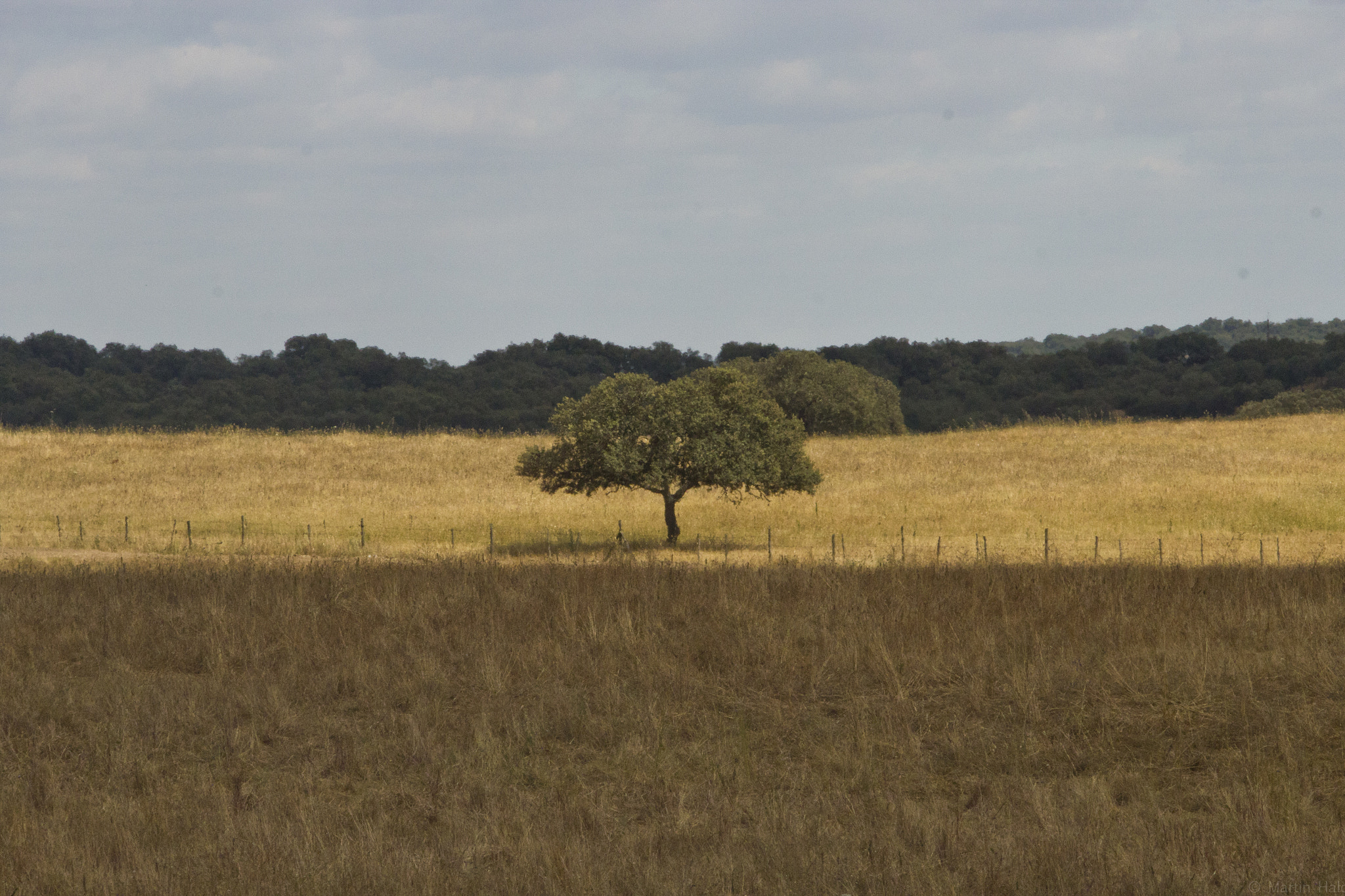 Canon EF 70-200mm F2.8L USM sample photo. Portugal photography