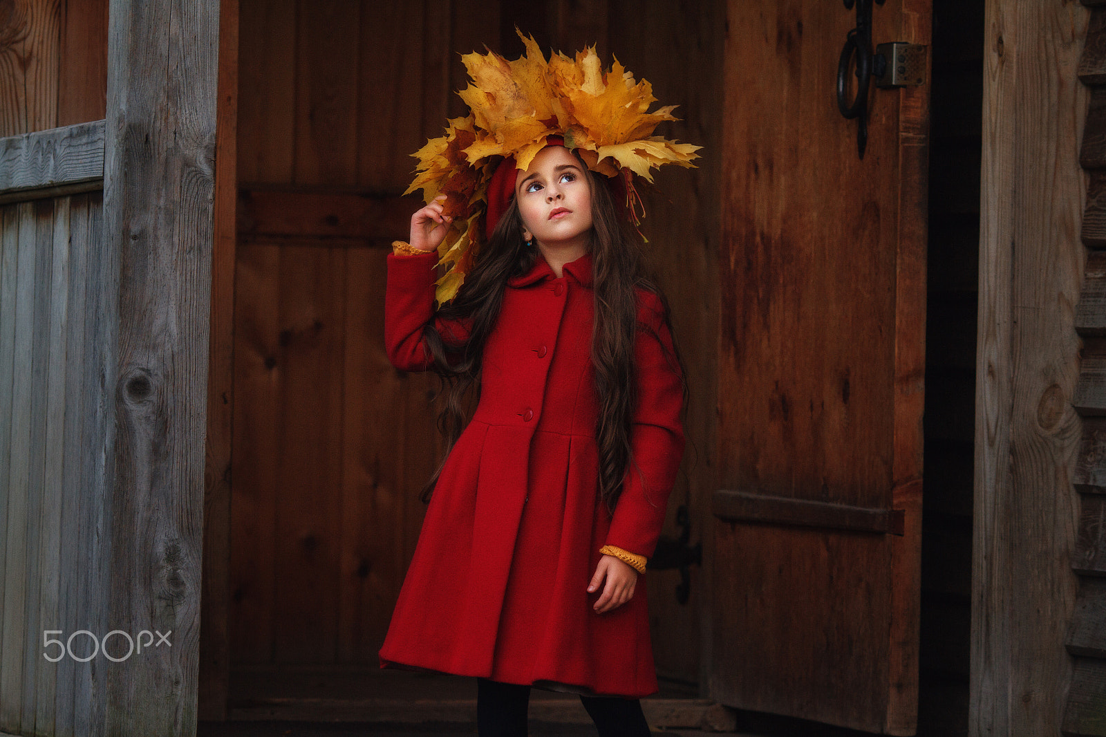 Canon EOS 7D + Canon EF 135mm F2L USM sample photo. Red autumn | liliya nazarova photography