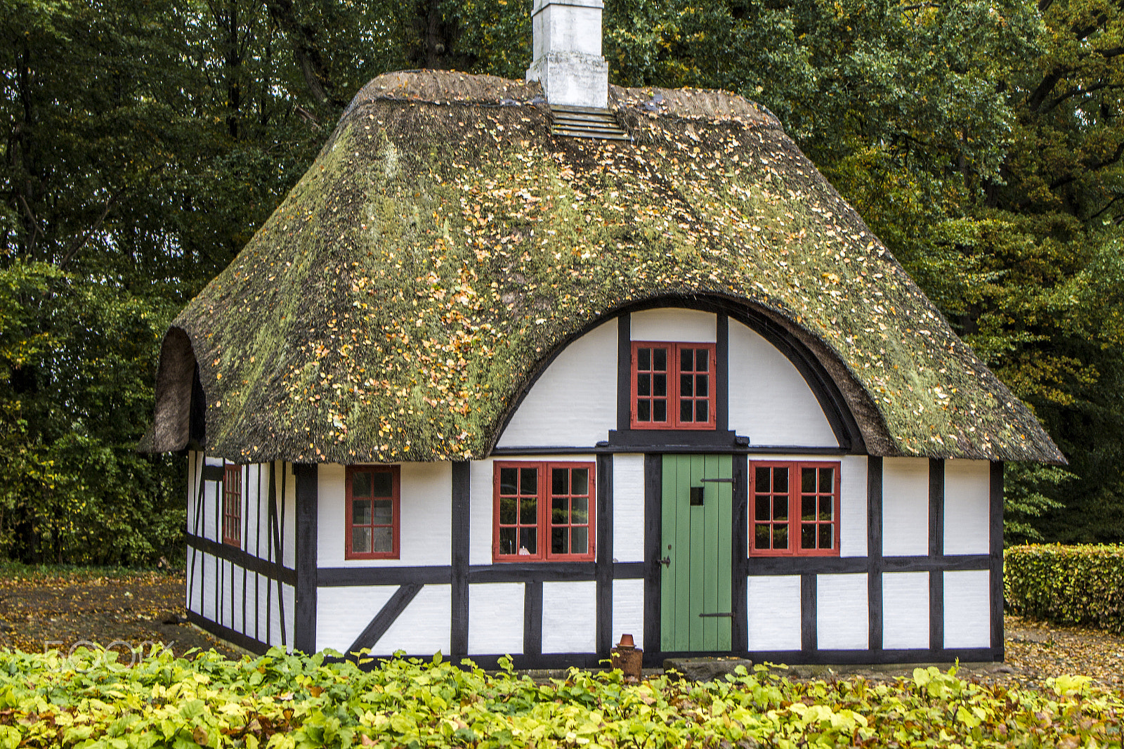 Tamron SP 35mm F1.8 Di VC USD sample photo. Cottage in the woods photography