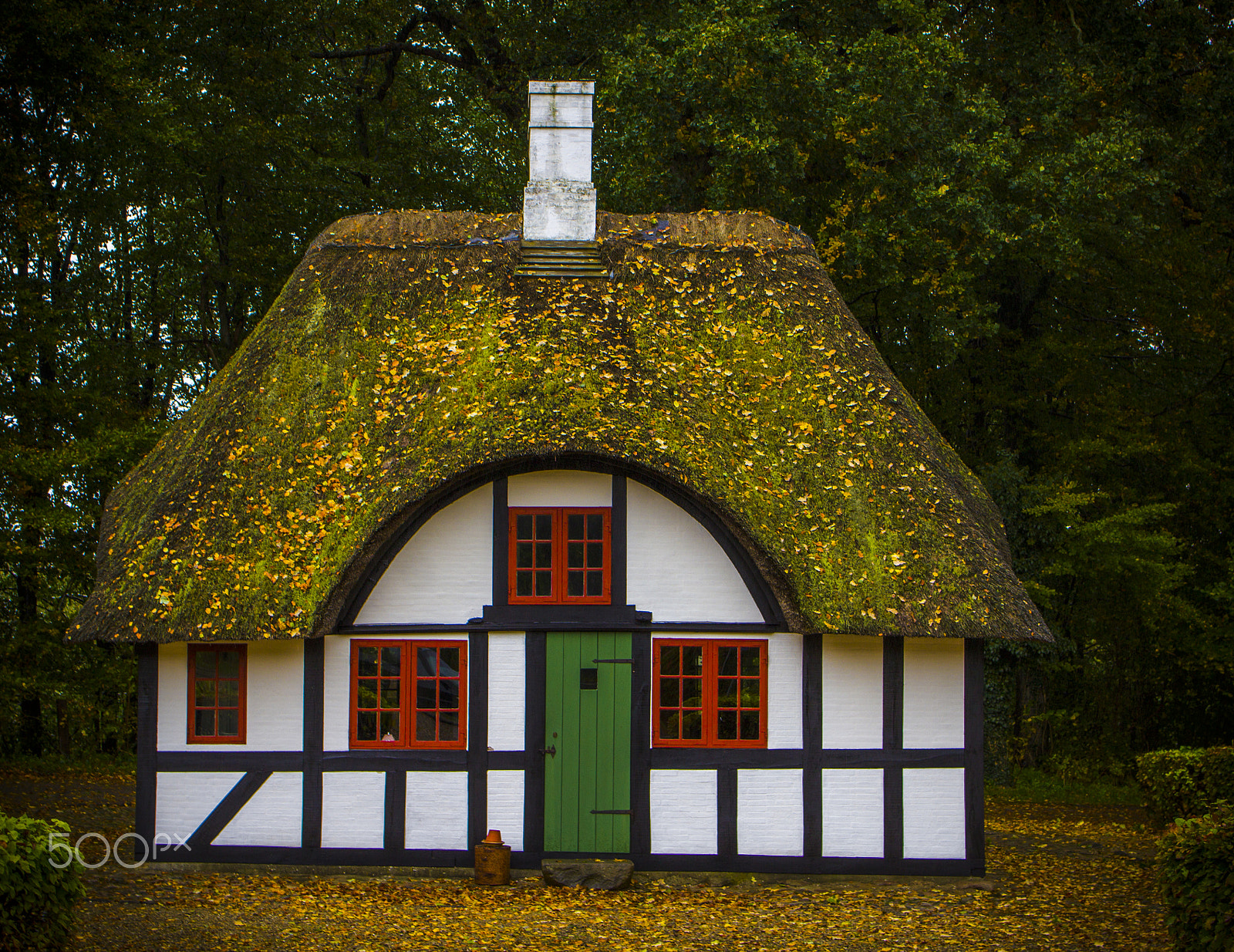 Tamron SP 35mm F1.8 Di VC USD sample photo. Cottage in the woods photography